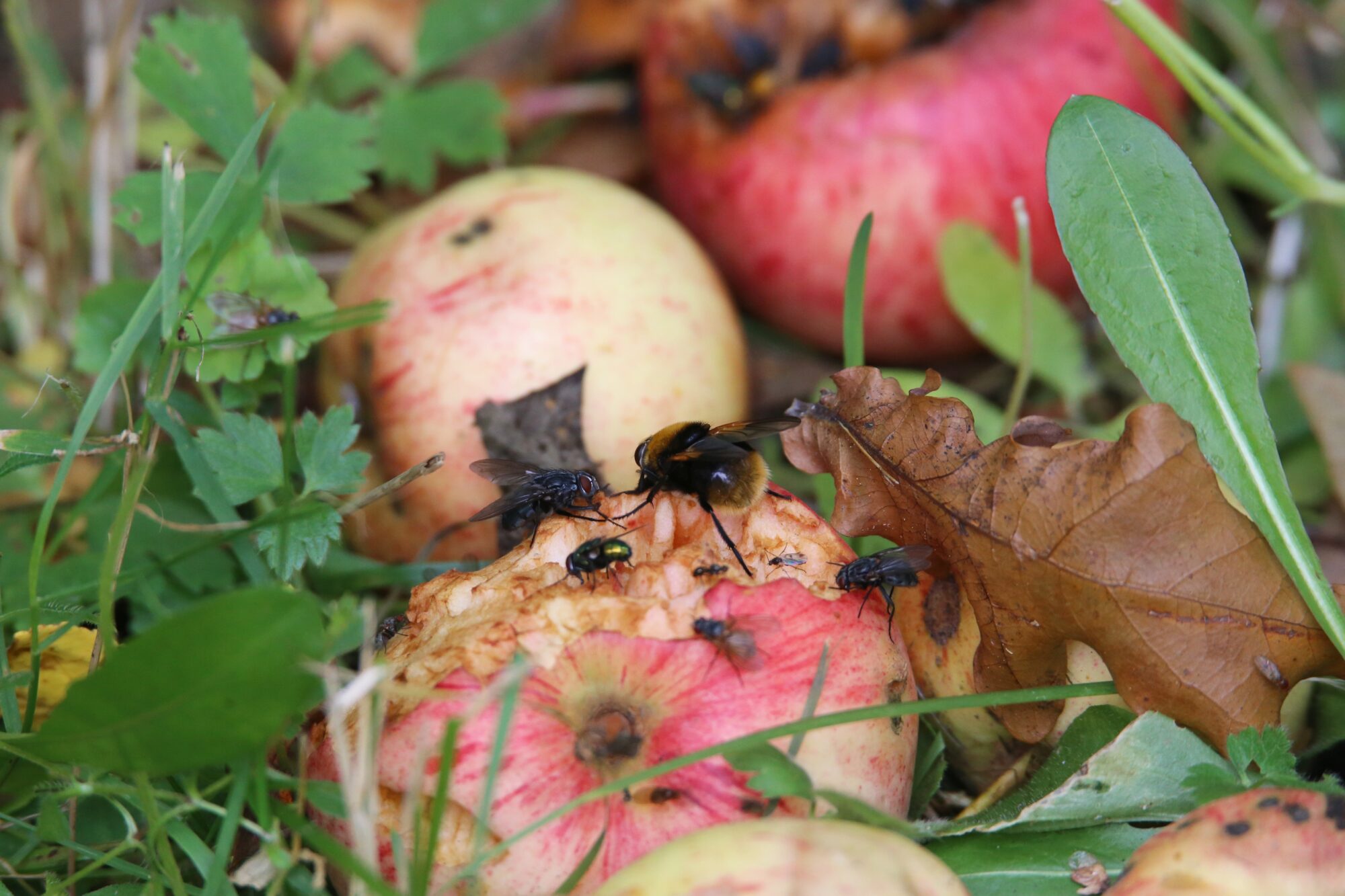 Valokuvaaja: Jaana Saarelainen