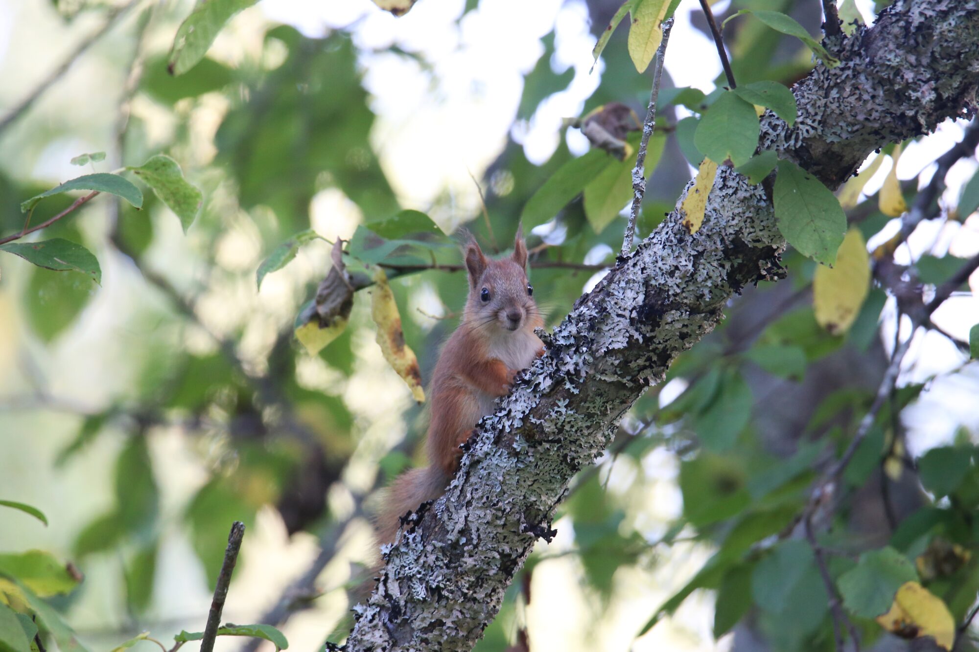 Valokuvaaja: Jaana Saarelainen