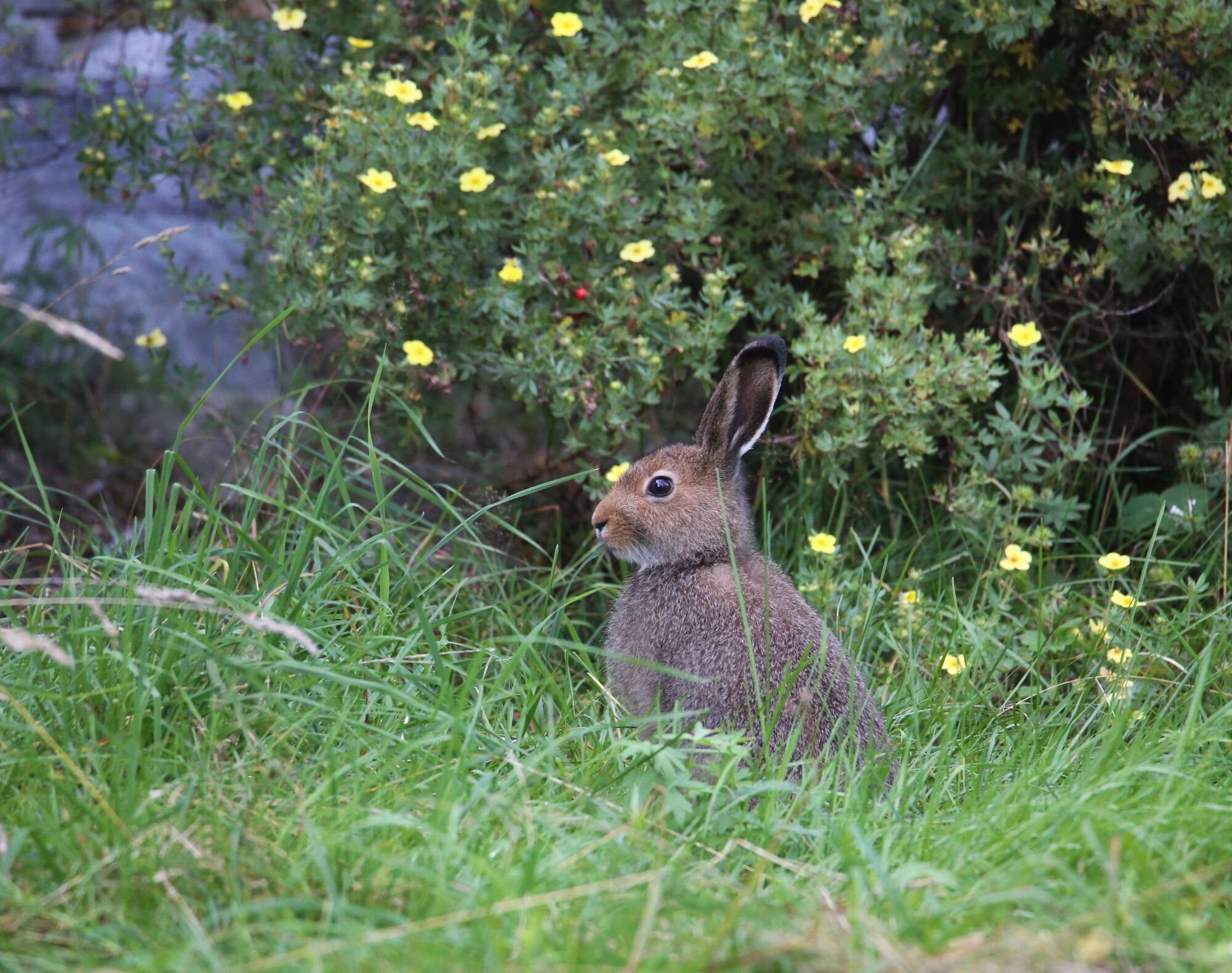 Valokuvaaja: Jaana Saarelainen