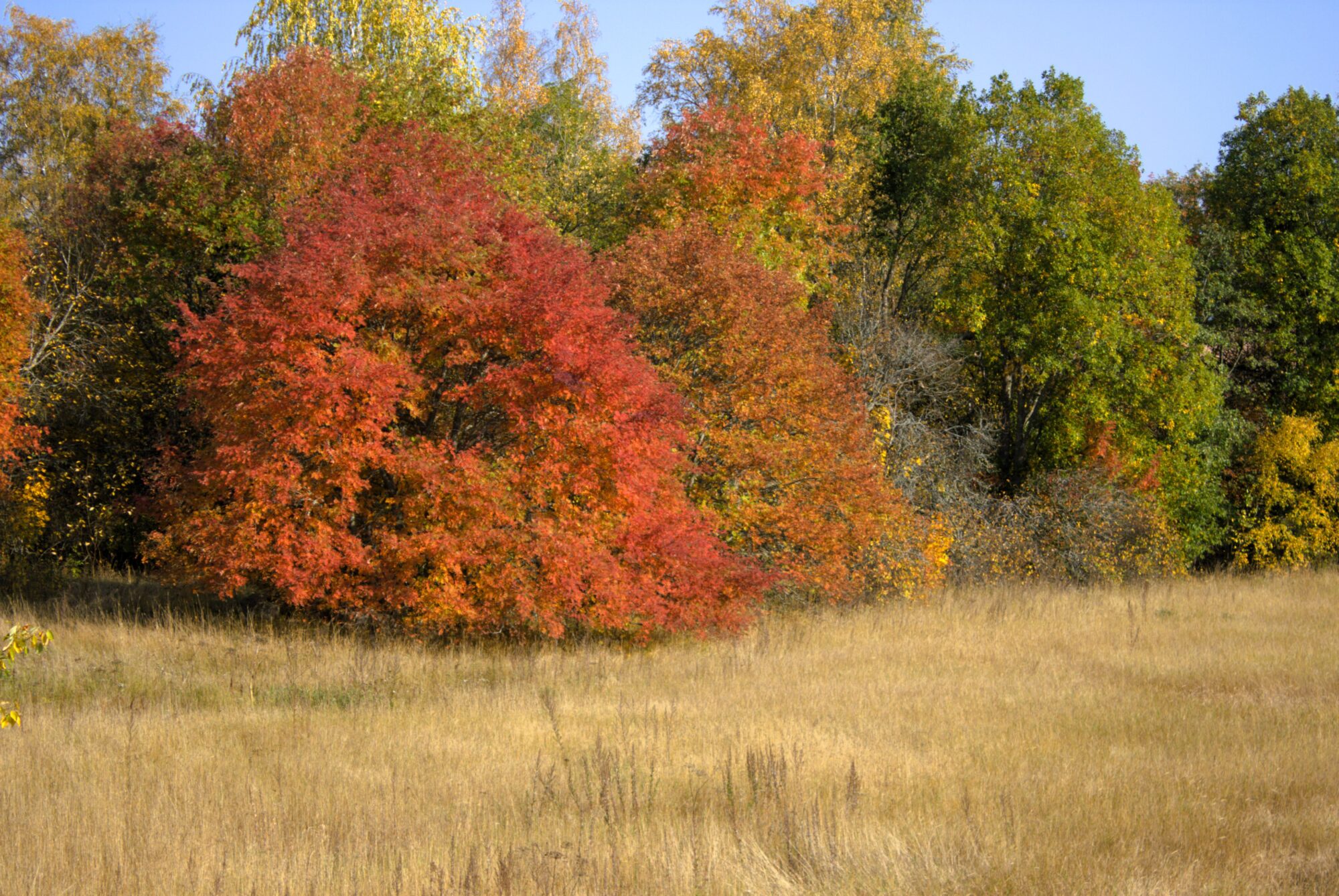 Valokuvaaja: Katri Mäkinen