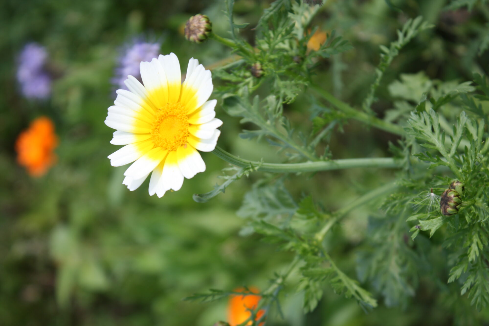 Valokuvaaja: Katri Mäkinen Valokuvaaja: Katri Mäkinen