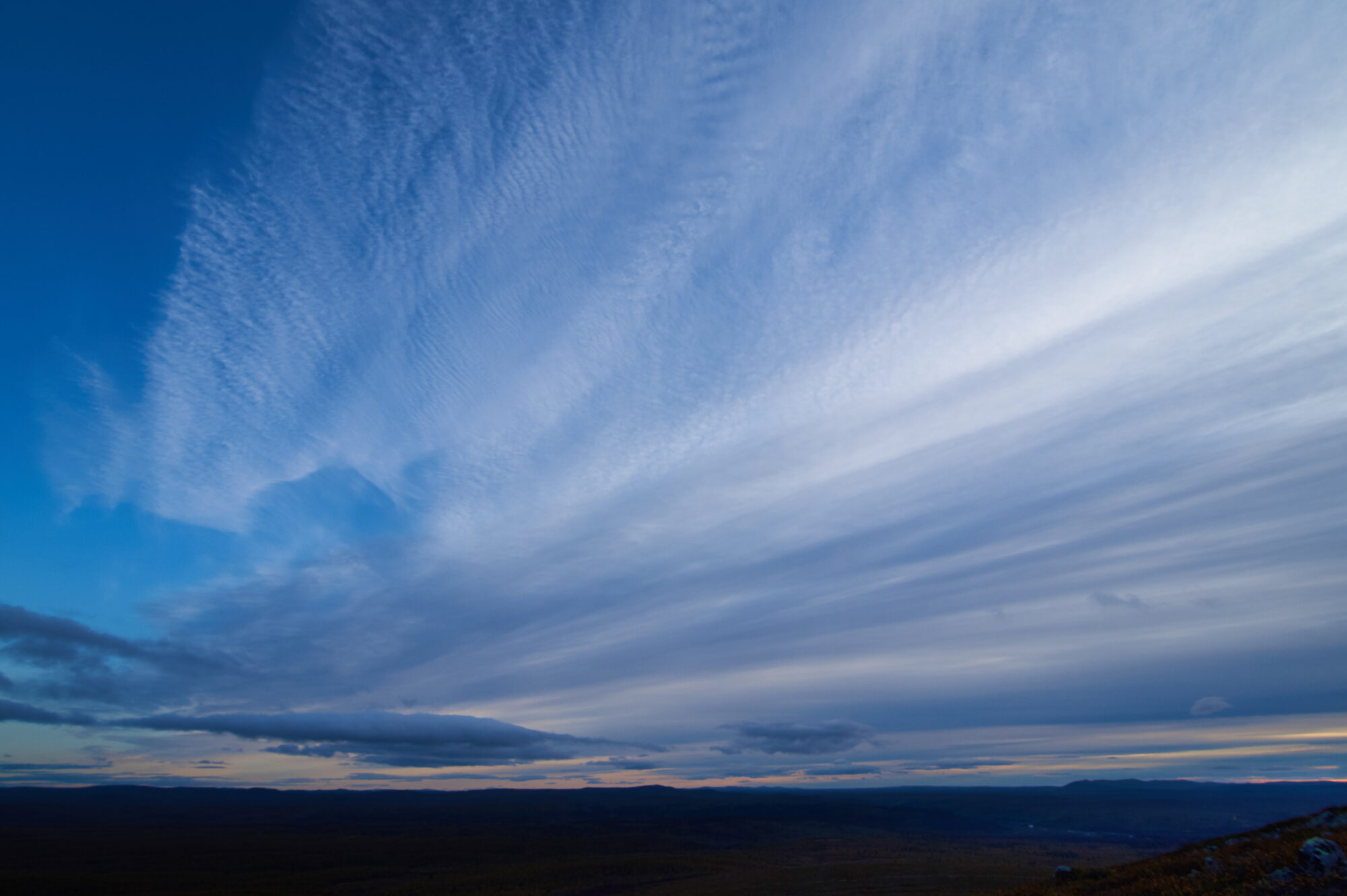 Valokuvaaja: Tarja Kouvo