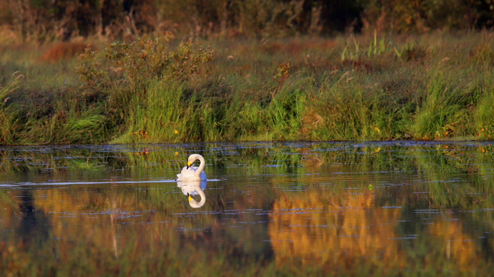 Valokuvaaja: sirpa Jyske