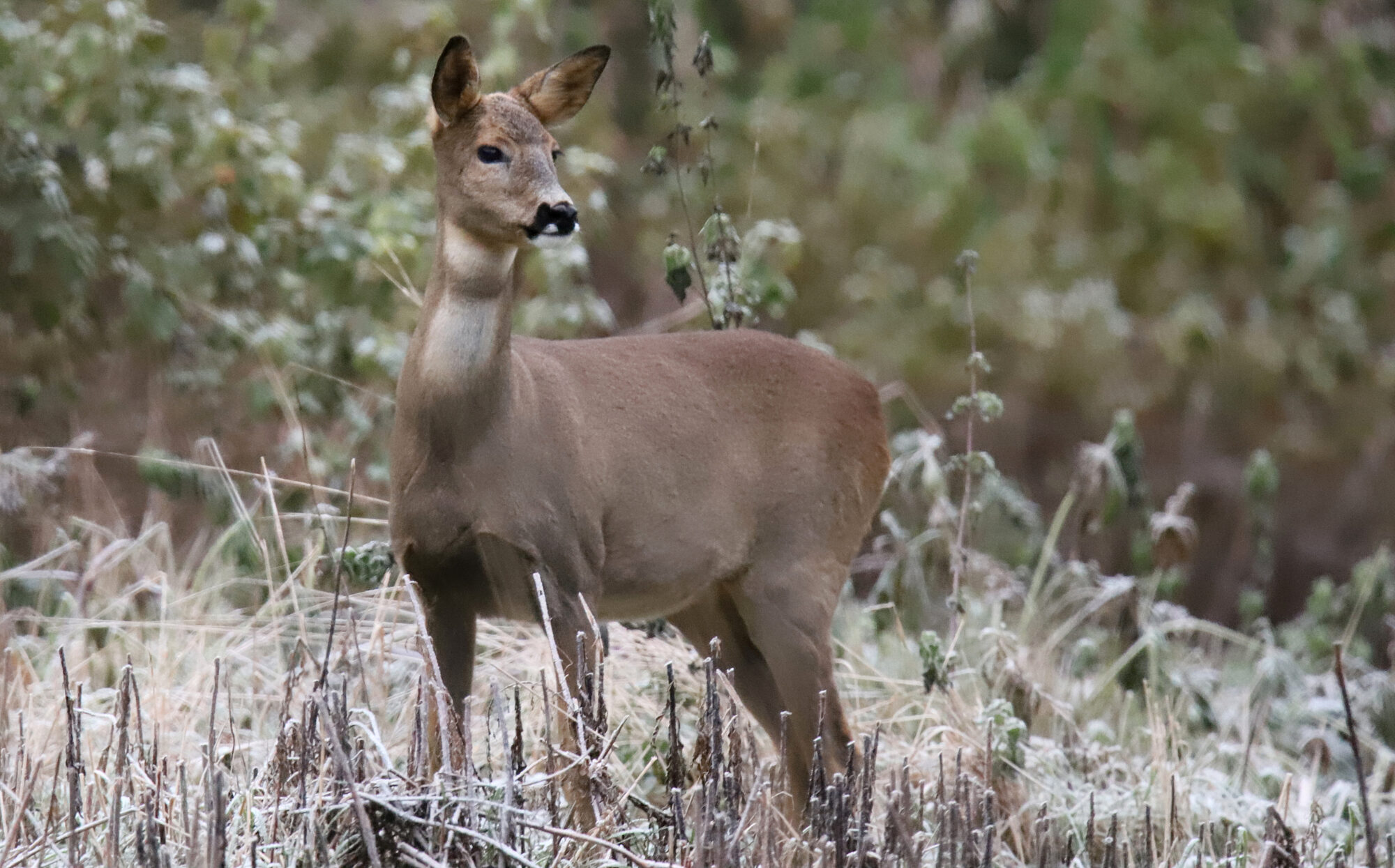 Valokuvaaja: sirpa Jyske