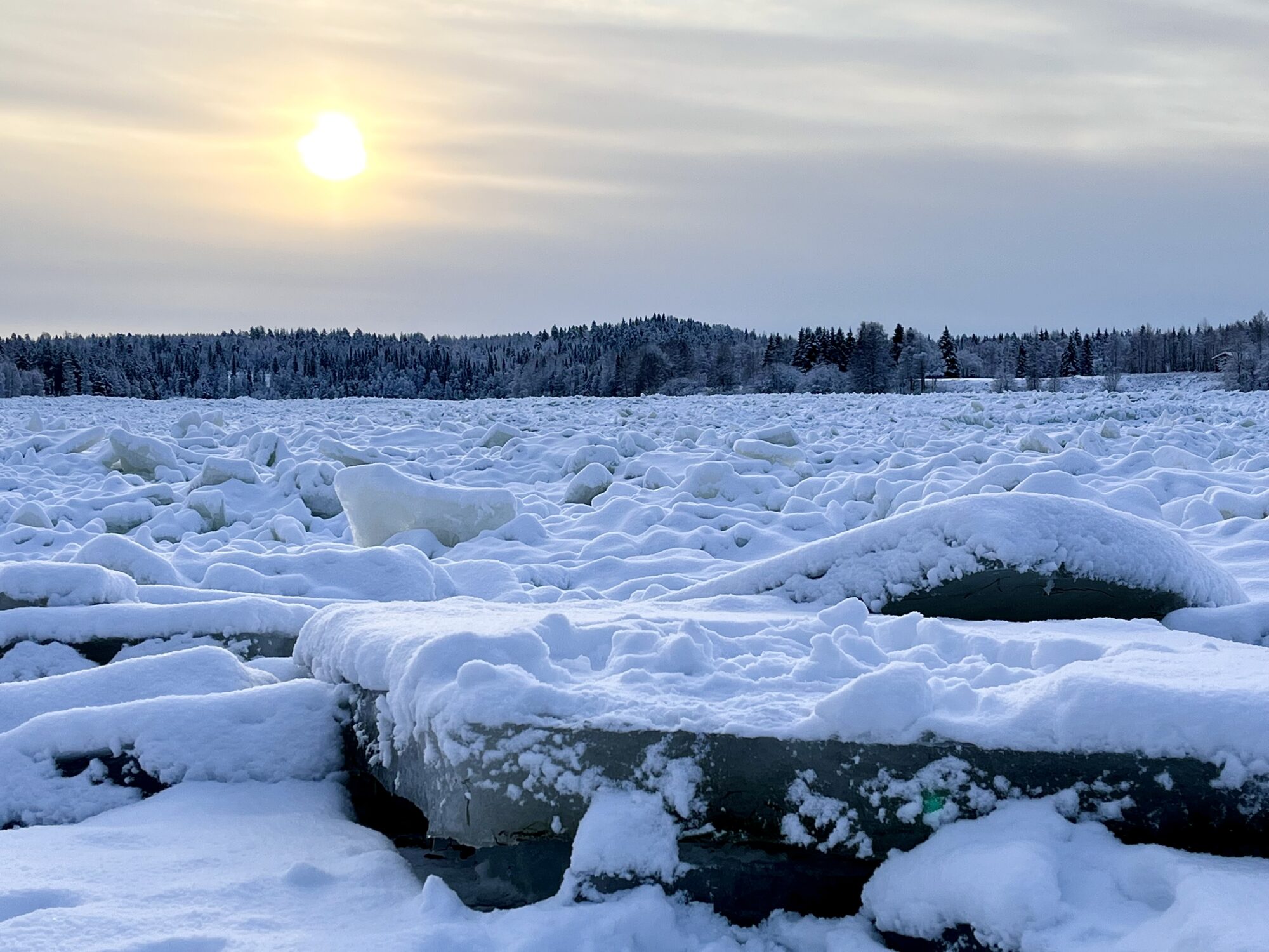 Valokuvaaja: Tuukka Pahtamaa