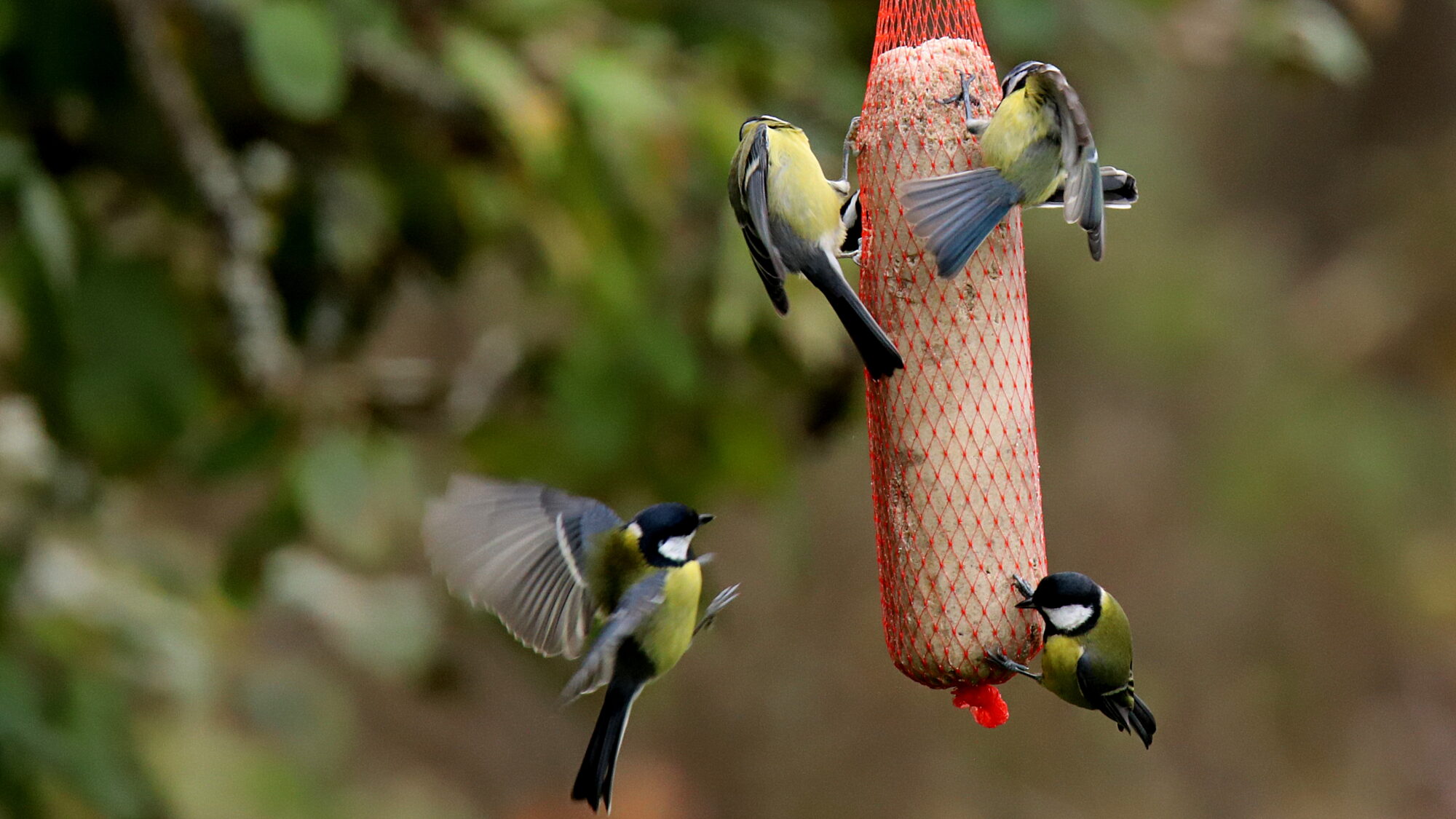 Valokuvaaja: sirpa Jyske