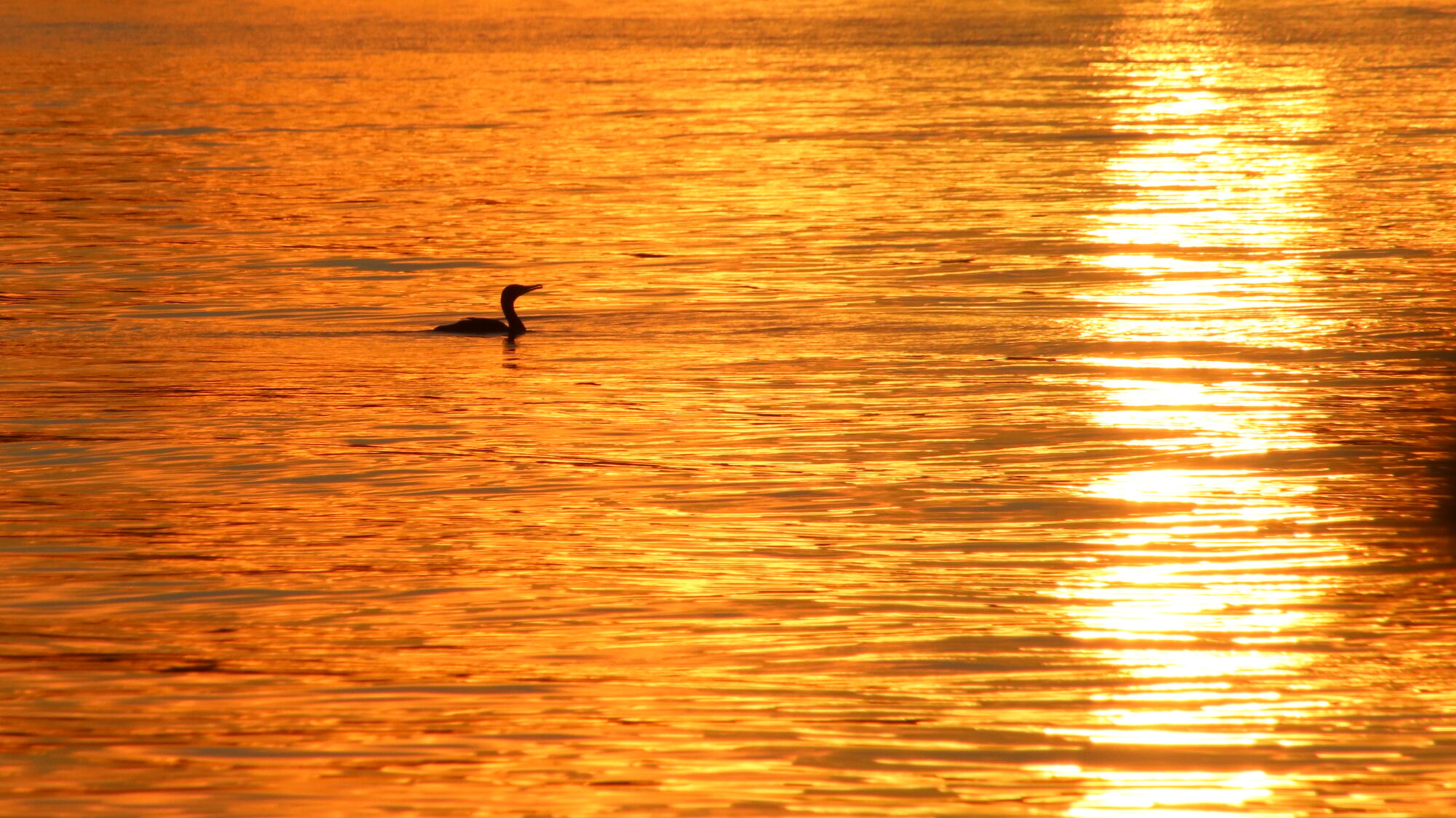 Valokuvaaja: sirpa Jyske