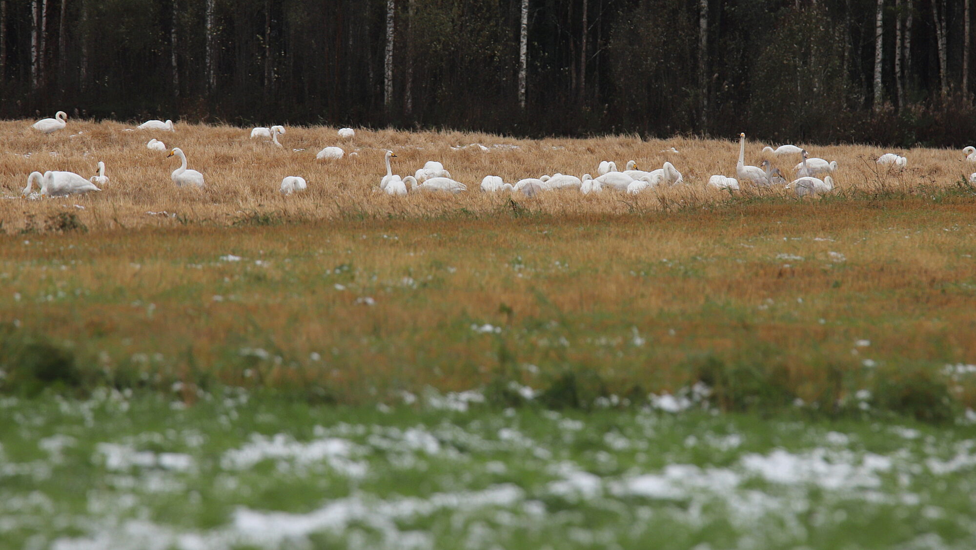 Valokuvaaja: sirpa Jyske