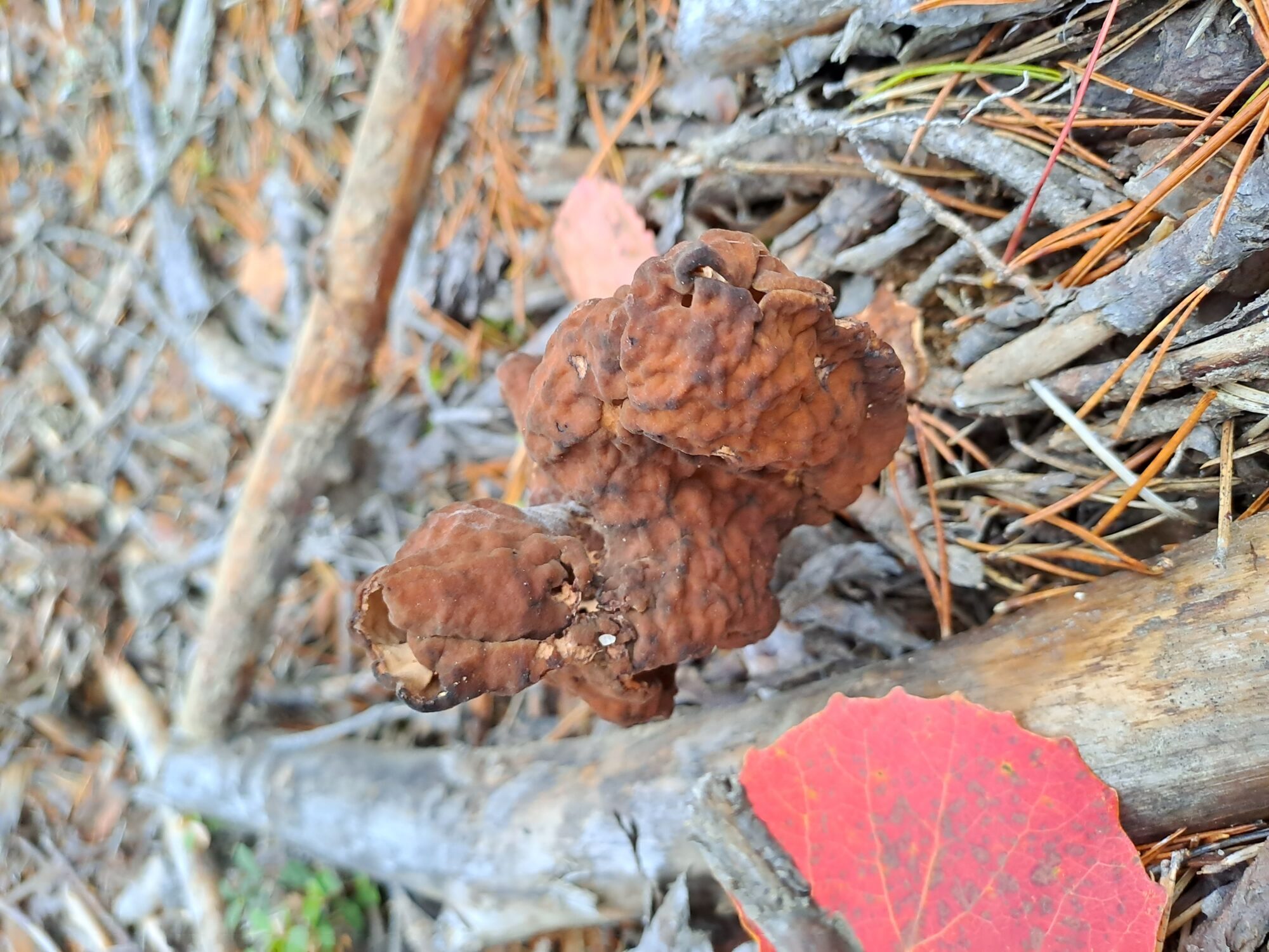 Valokuvaaja: Kaisa Marila Valokuvaaja: Kaisa Marila