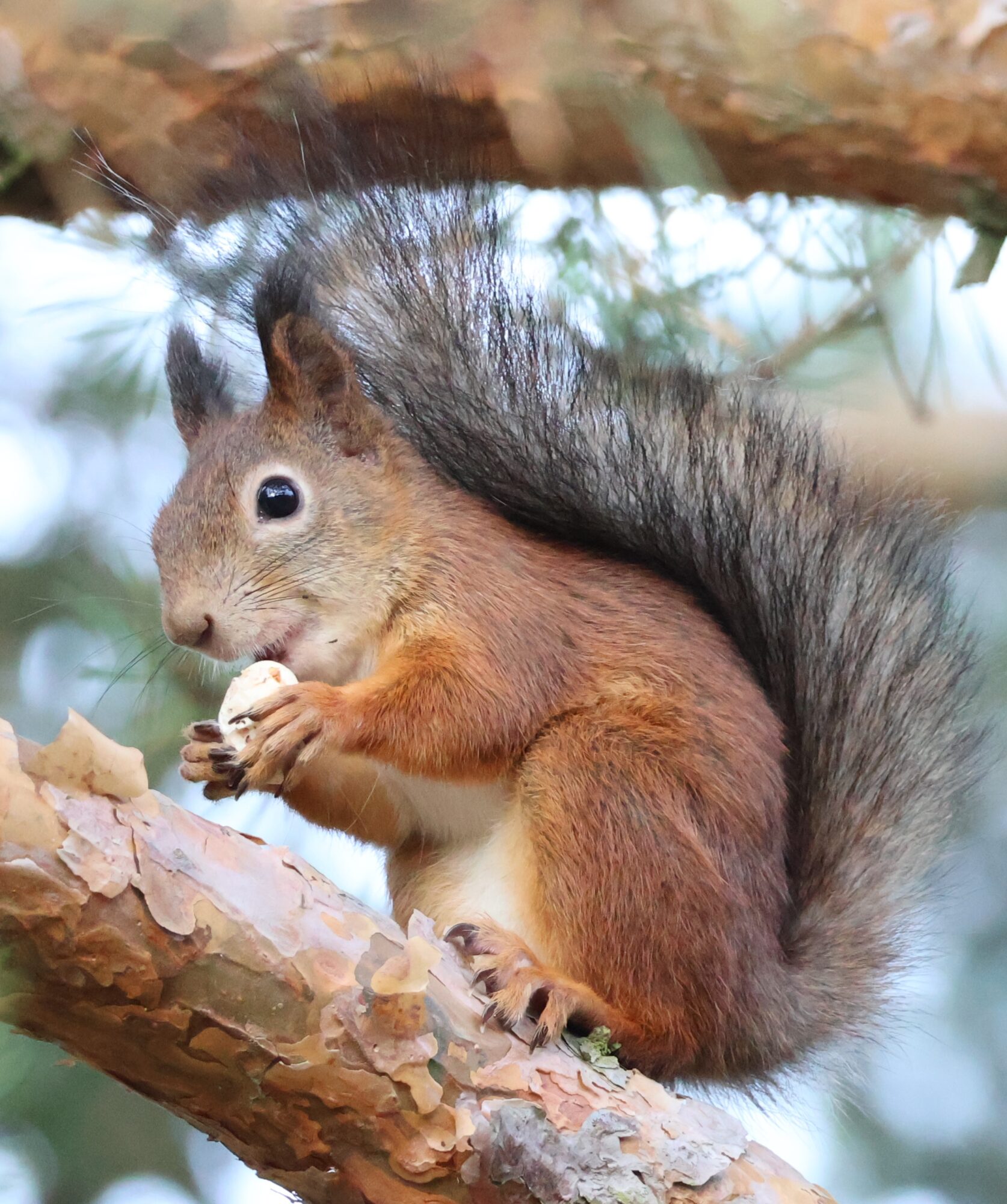 Valokuvaaja: Hanna Rönty