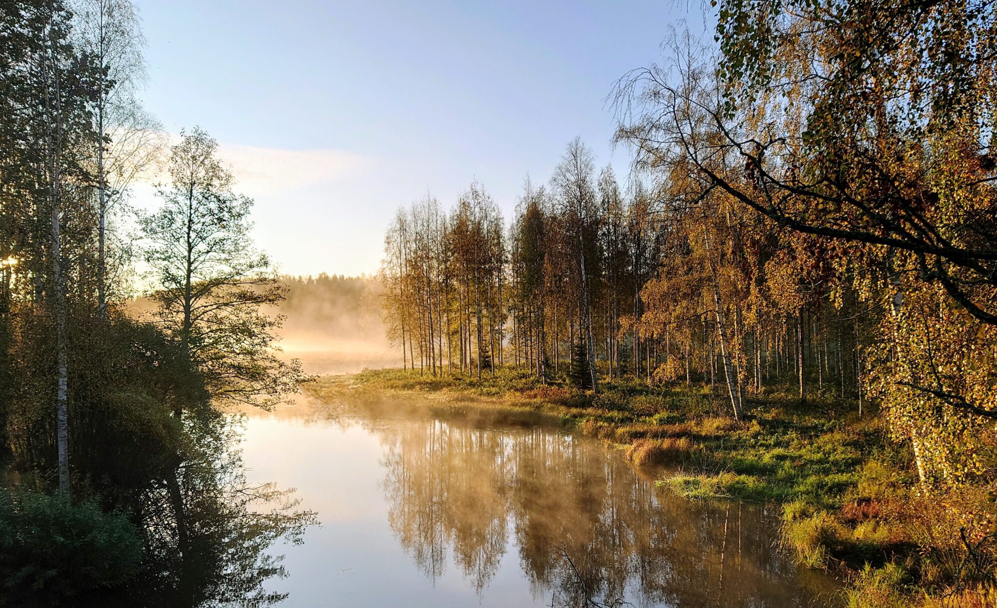 Valokuvaaja: Kati Westerlund