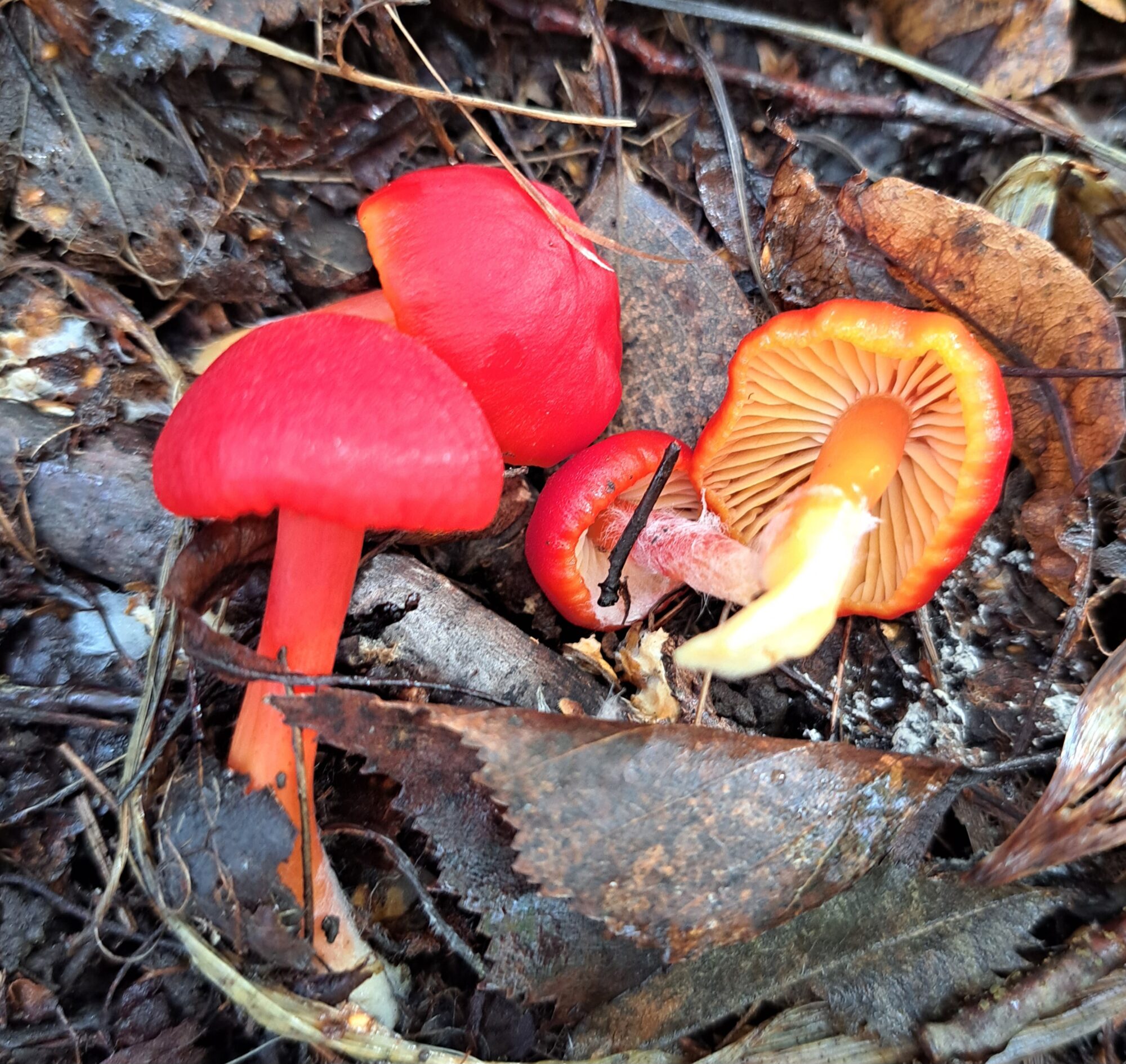 Valokuvaaja: Heidi Leppänen