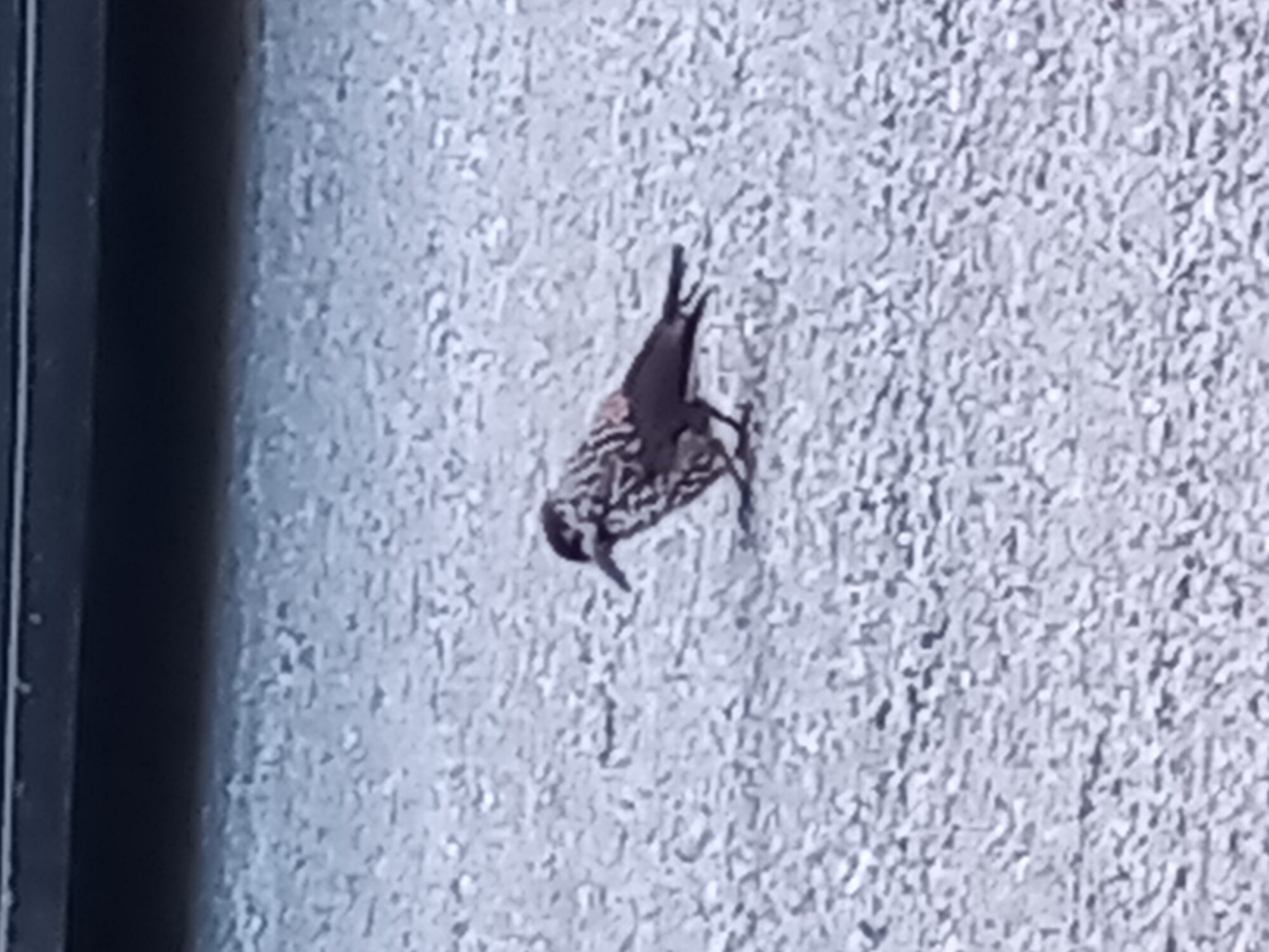 Valokuvaaja: Tiina Visala