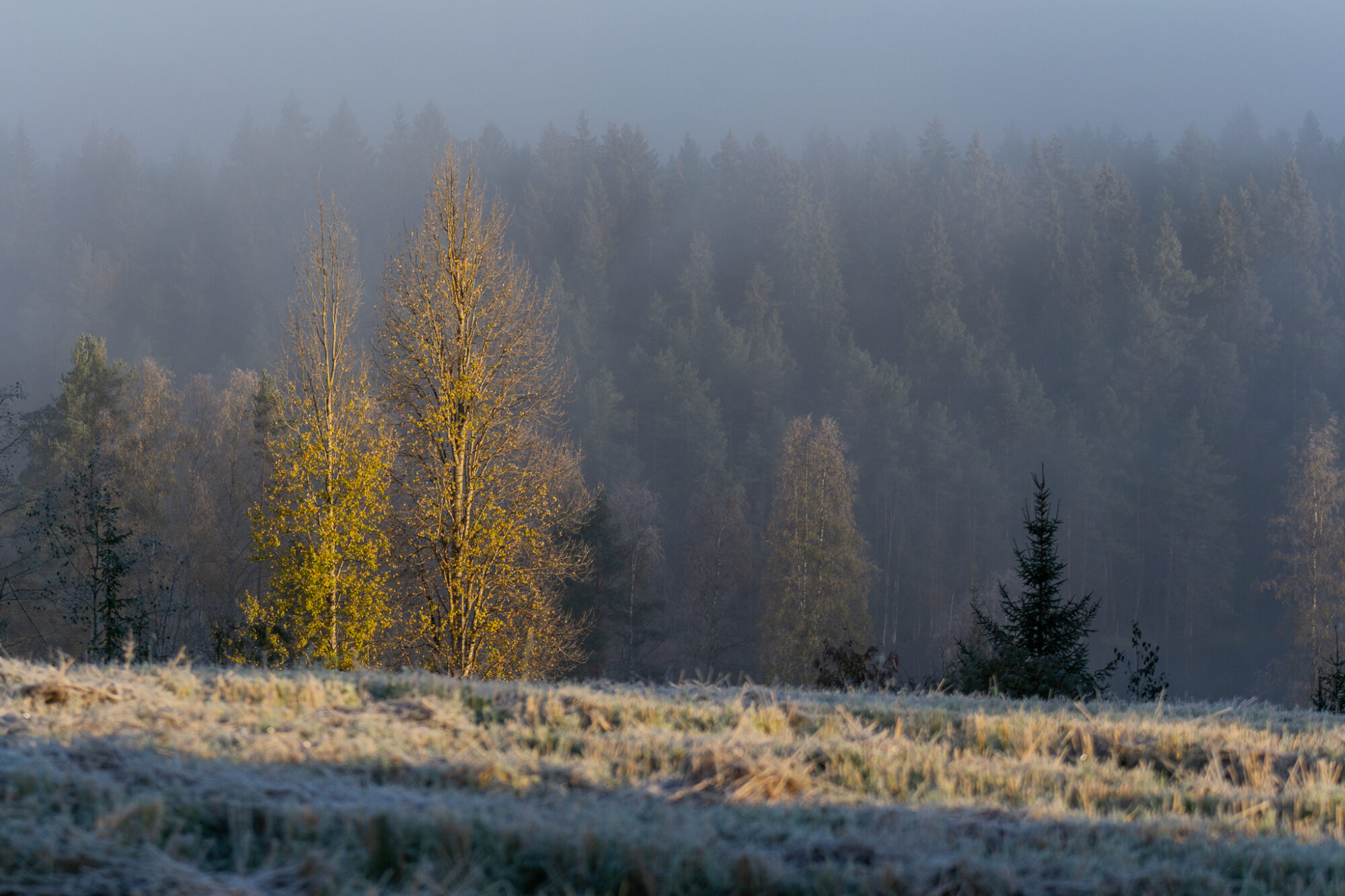 Valokuvaaja: Helena Minkkilä