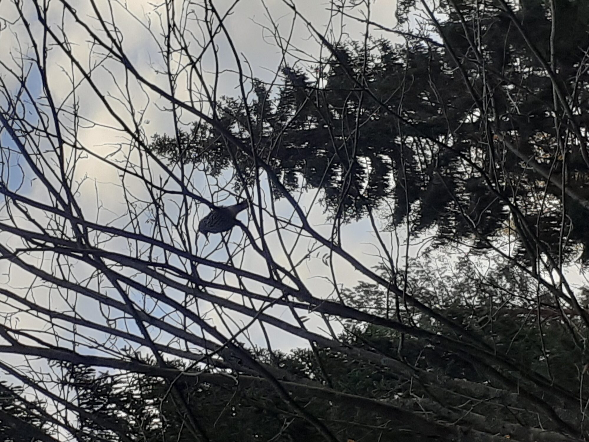 Valokuvaaja: Tarja Romunen