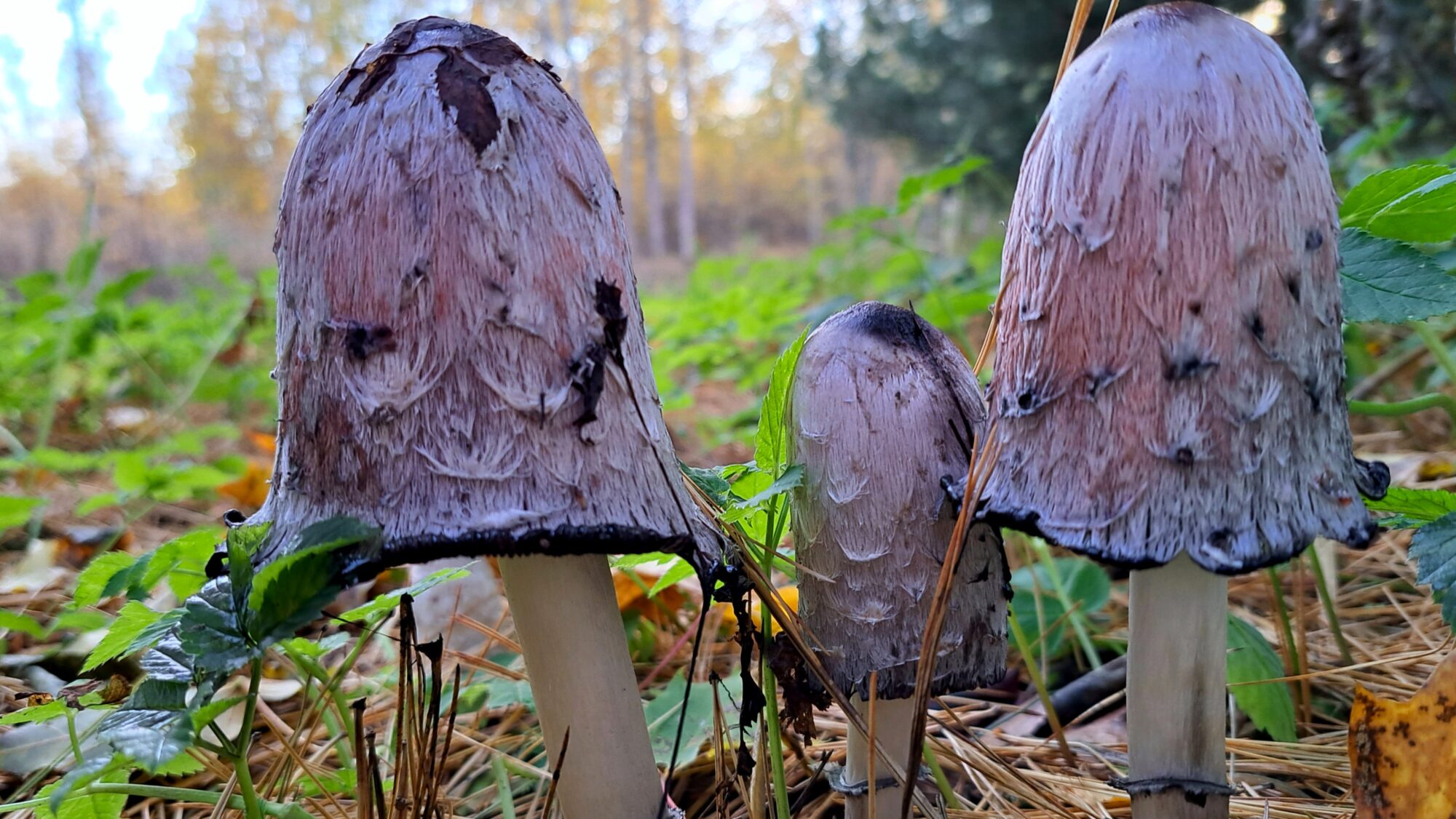 Valokuvaaja: Irja Lehtinen
