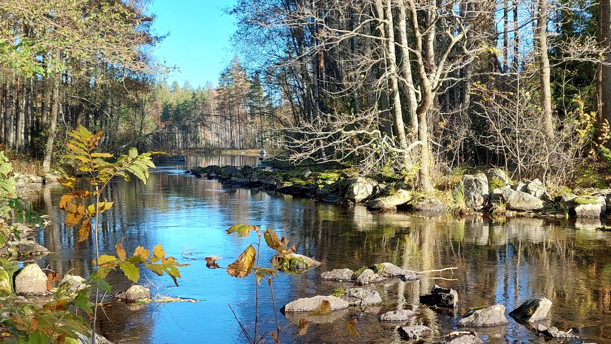 Valokuvaaja: Tarja Naukkarinen