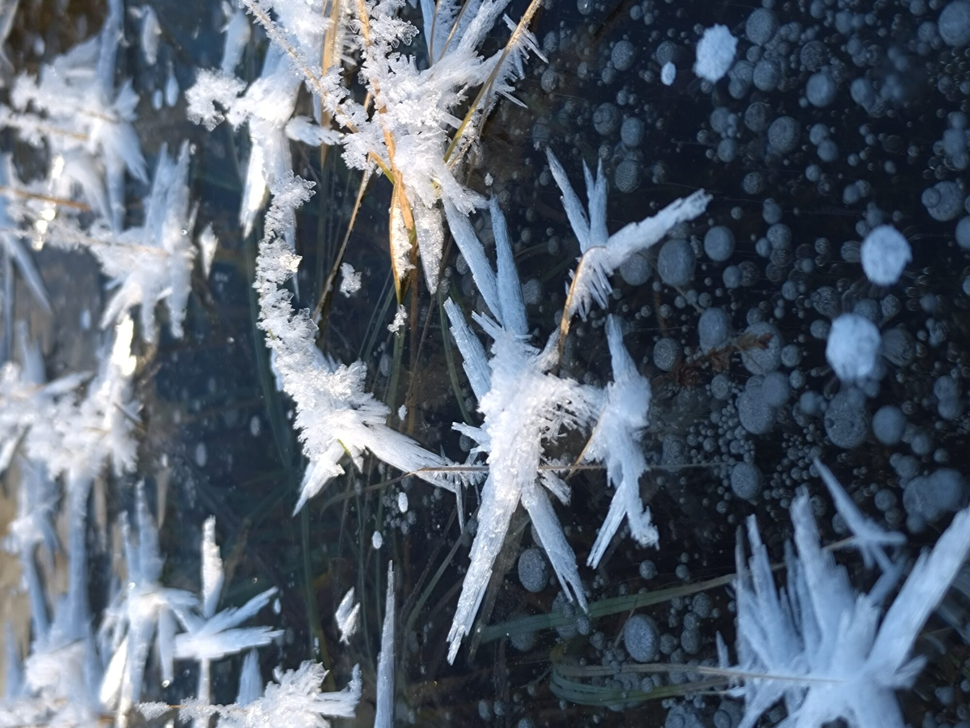 Valokuvaaja: Katja Kuoksa