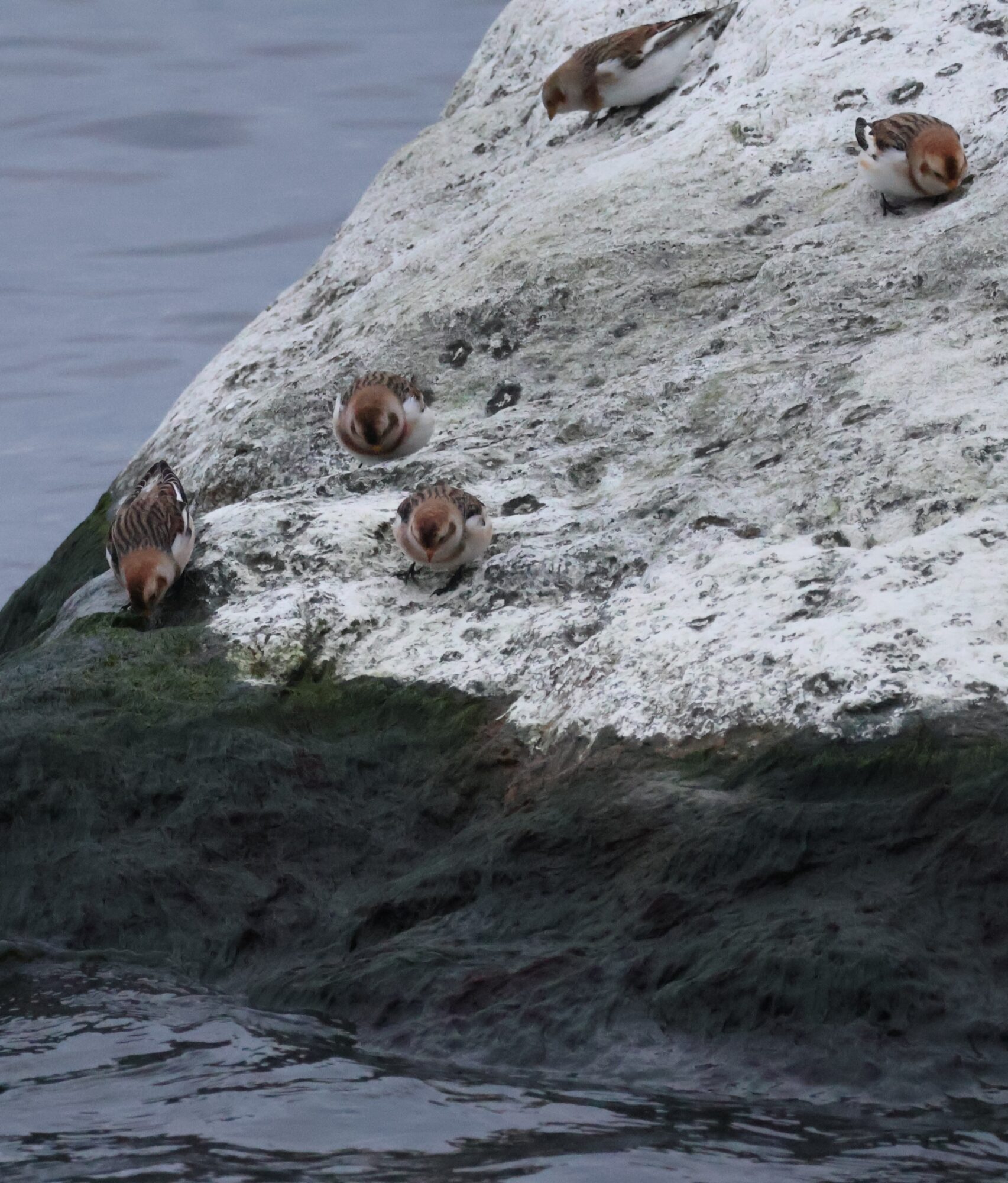 Valokuvaaja: Hanna Rönty