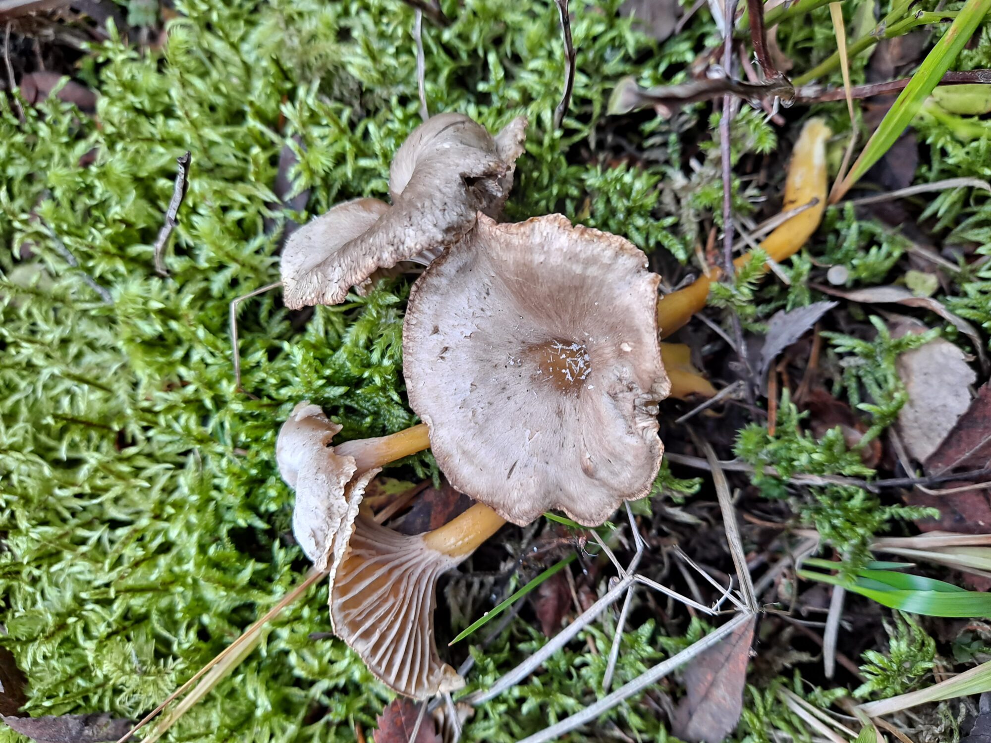 Valokuvaaja: Satu Suuntala