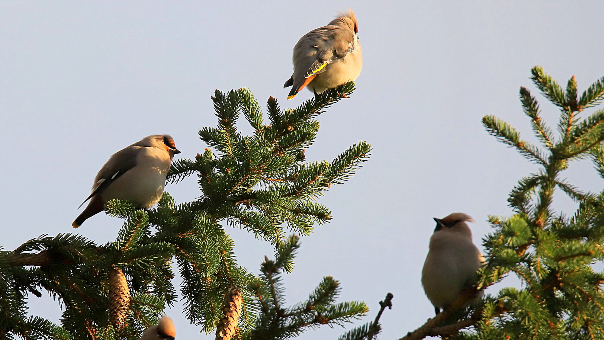 Valokuvaaja: sirpa Jyske