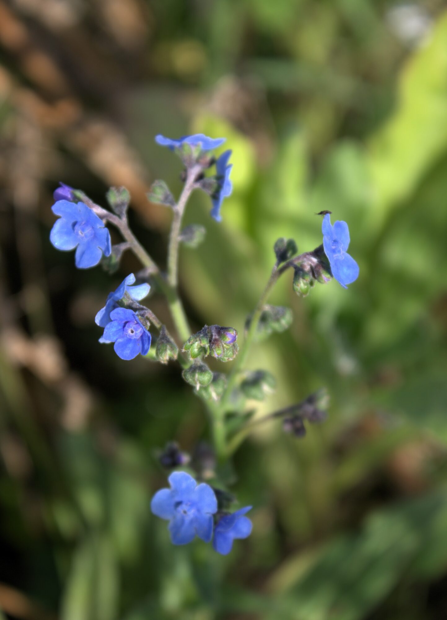 Valokuvaaja: Katri Mäkinen