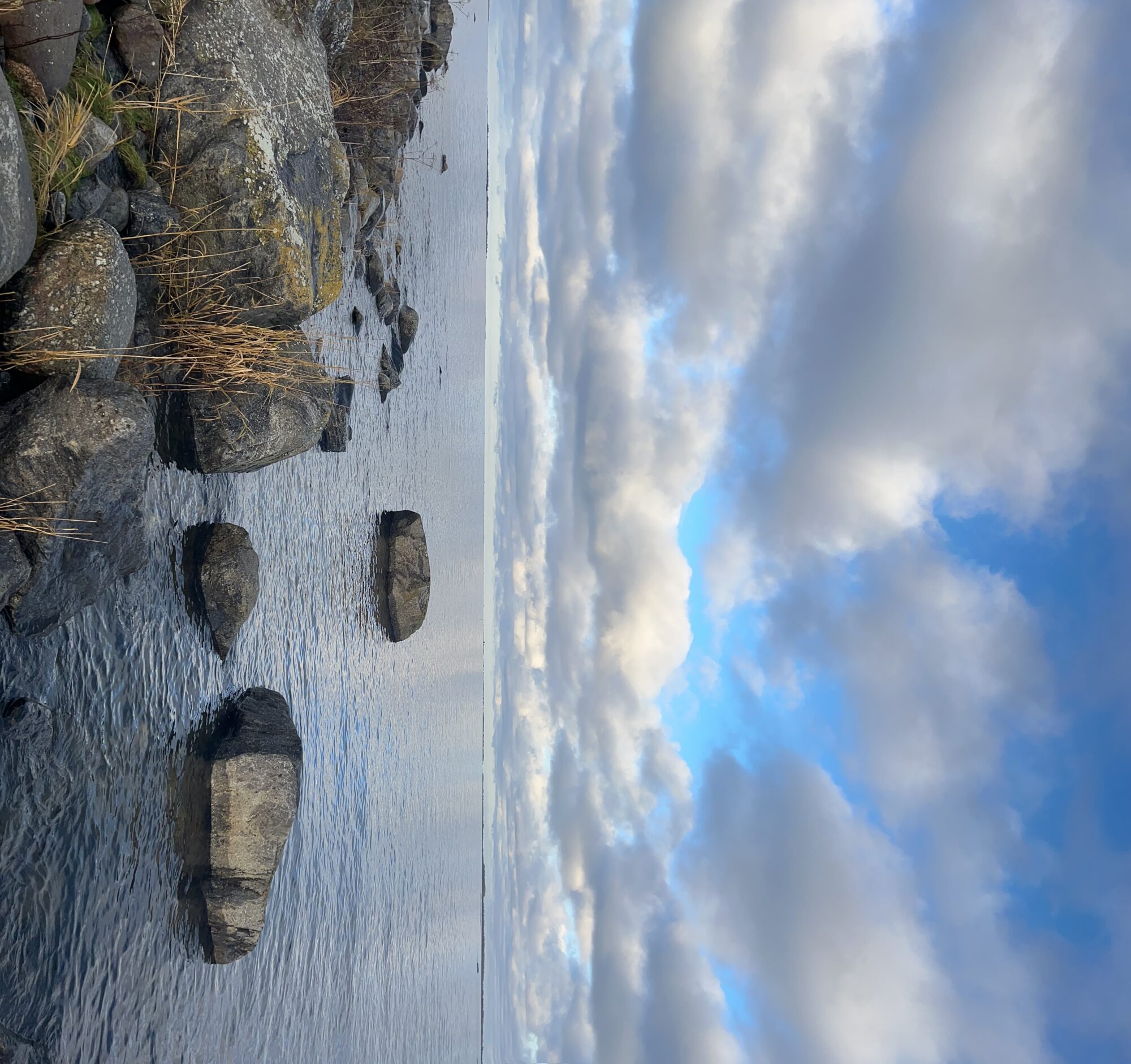 Valokuvaaja: Tapio Keinonen