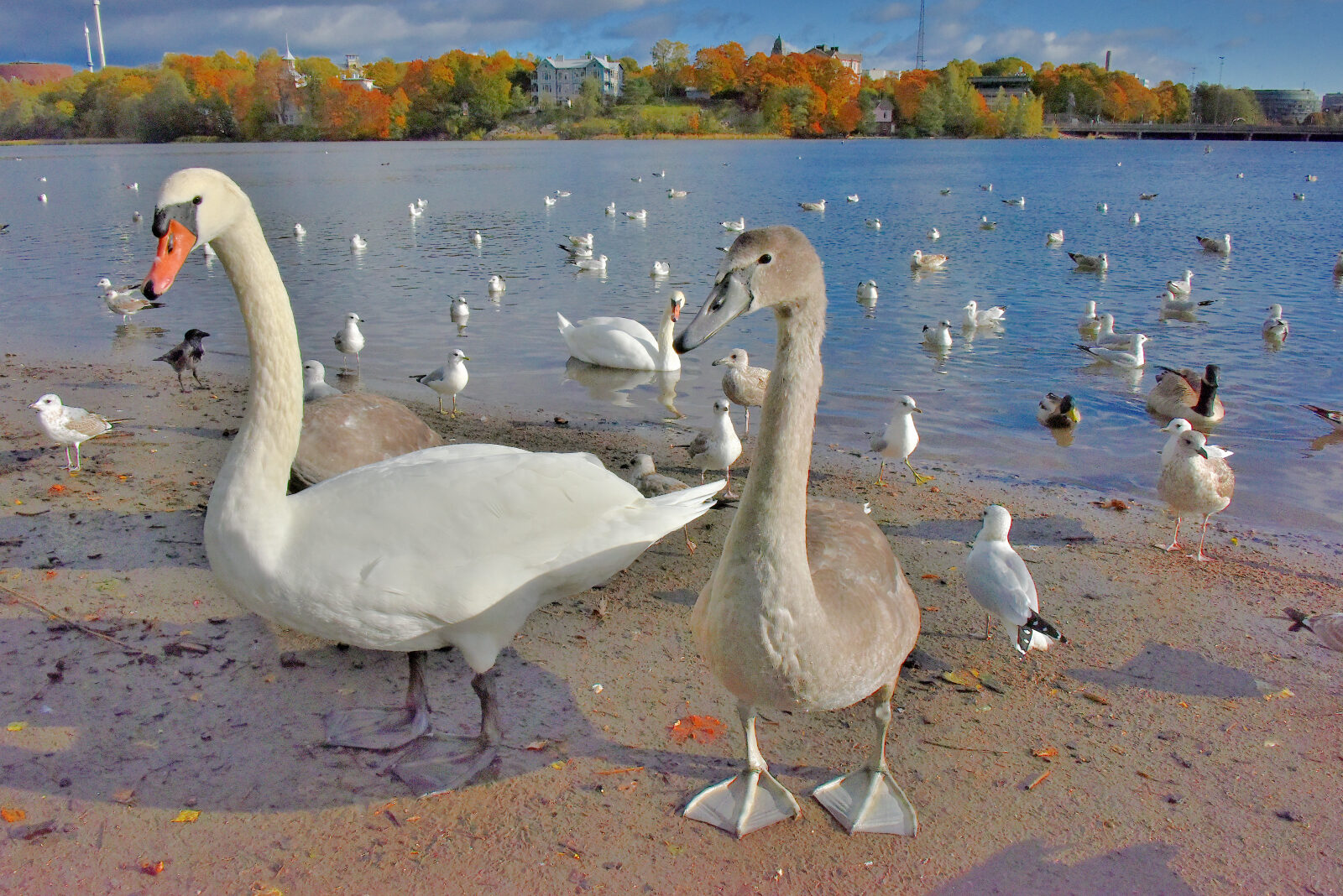 Valokuvaaja: Reijo Juurinen