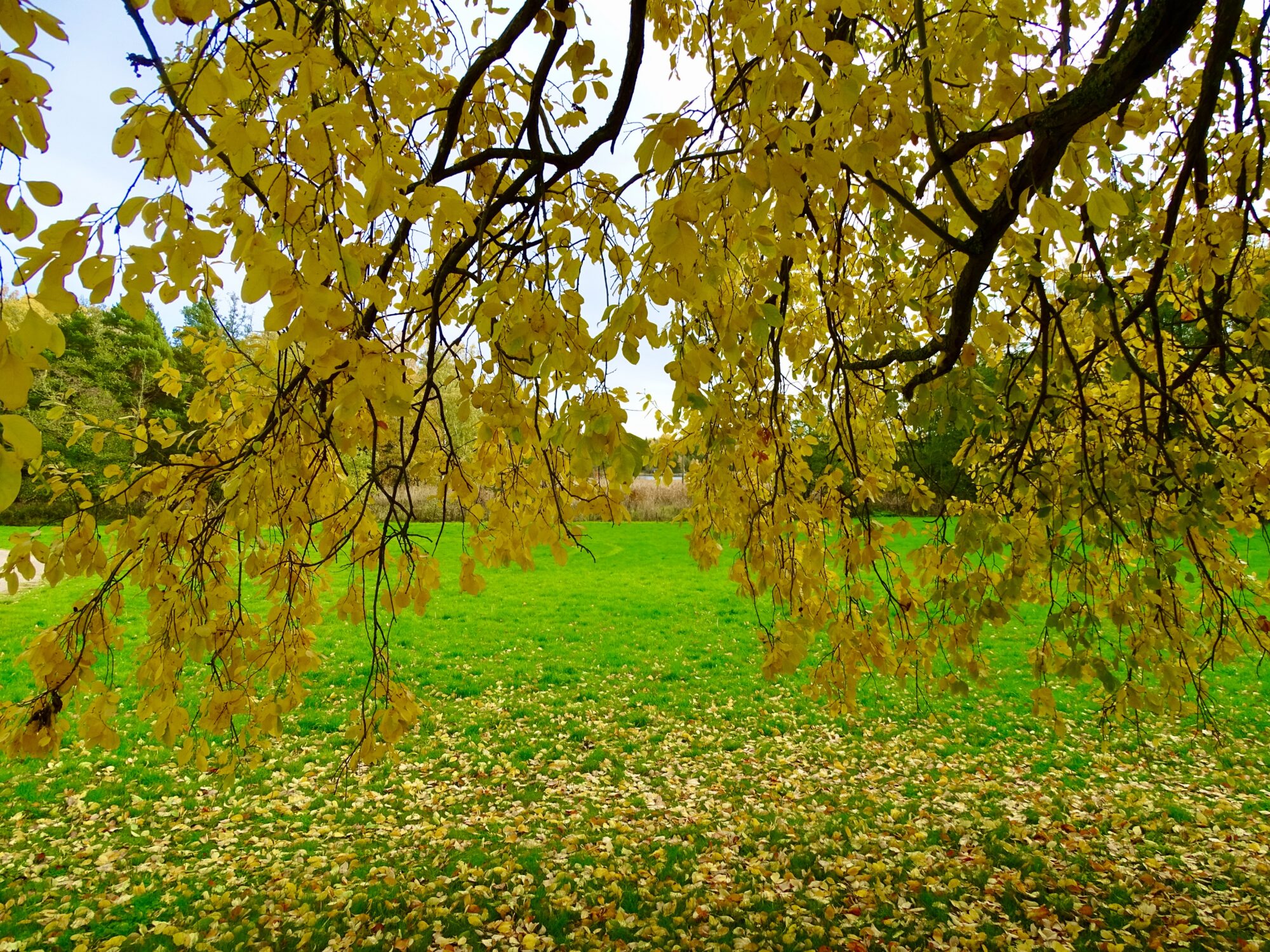 Valokuvaaja: Juhani Peltonen