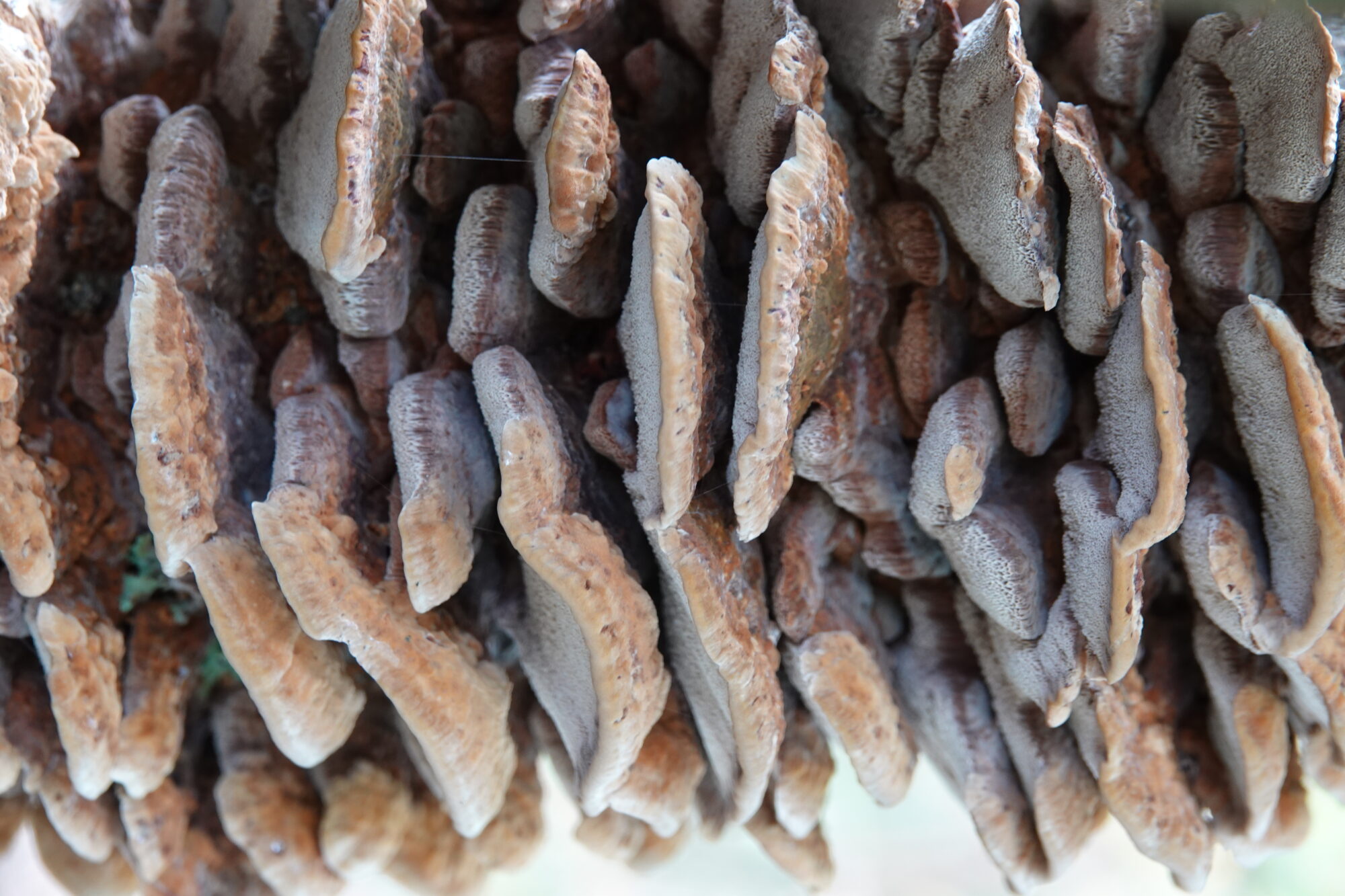 Valokuvaaja: Jenna Pitkänen