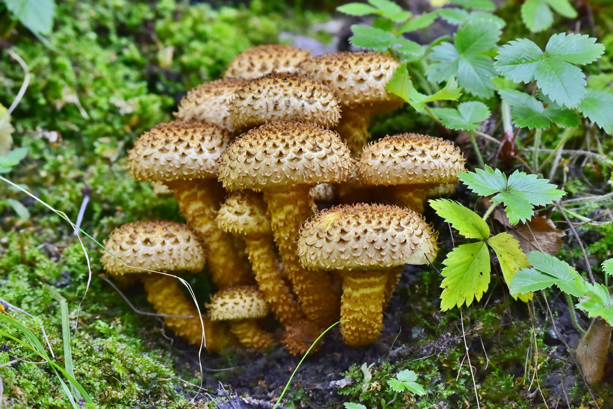 Valokuvaaja: Markku Pelkonen.