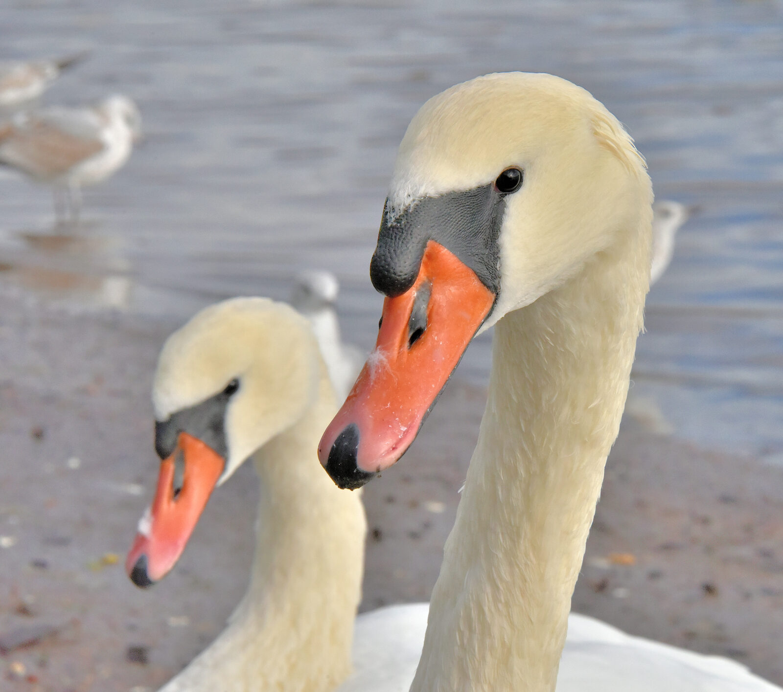 Valokuvaaja: Reijo Juurinen