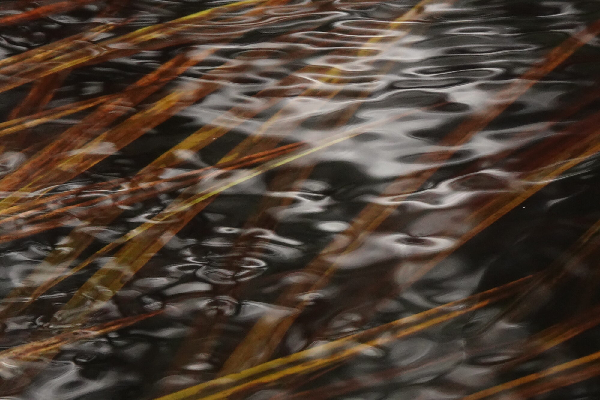 Valokuvaaja: Jenna Pitkänen