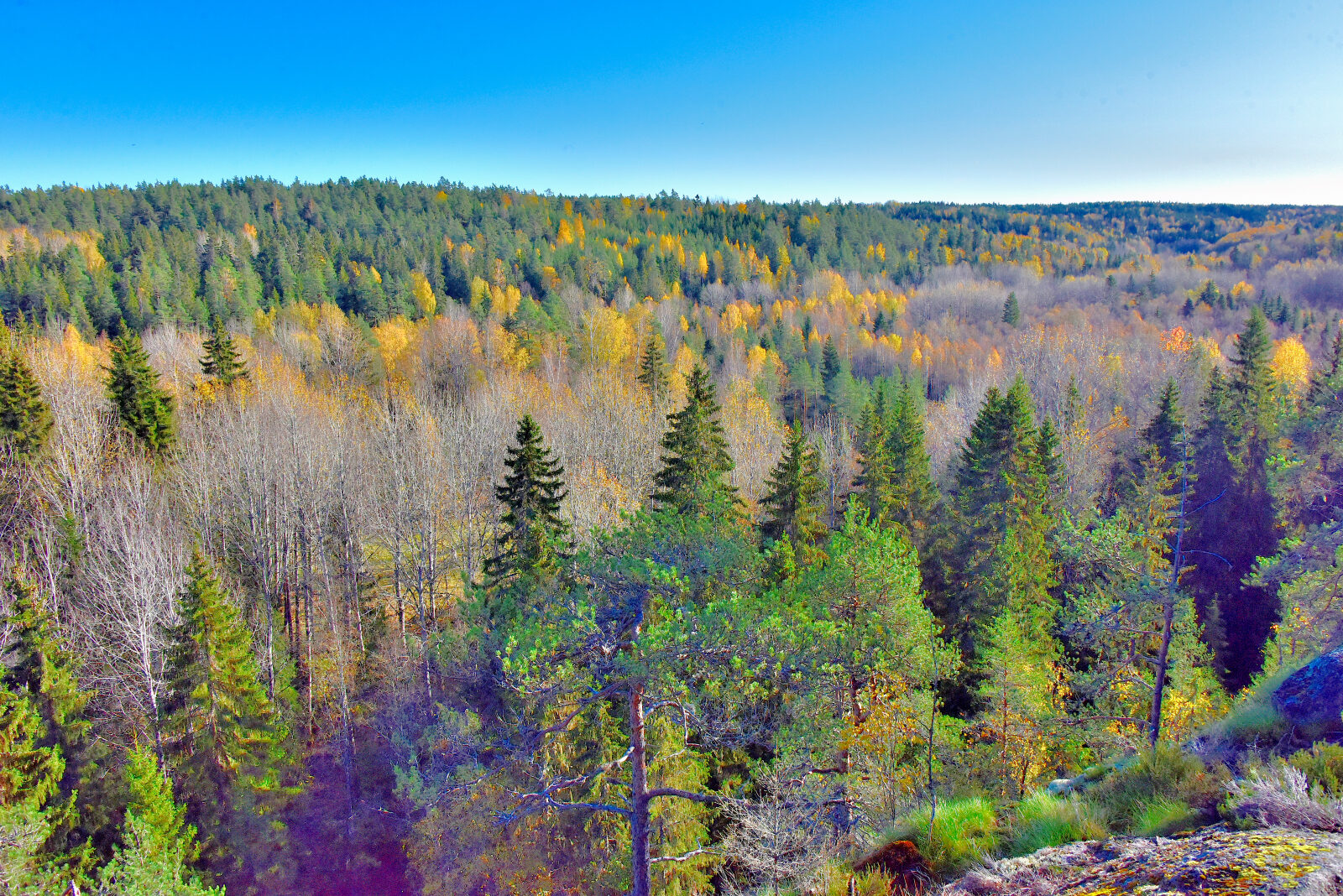 Valokuvaaja: Reijo Juurinen