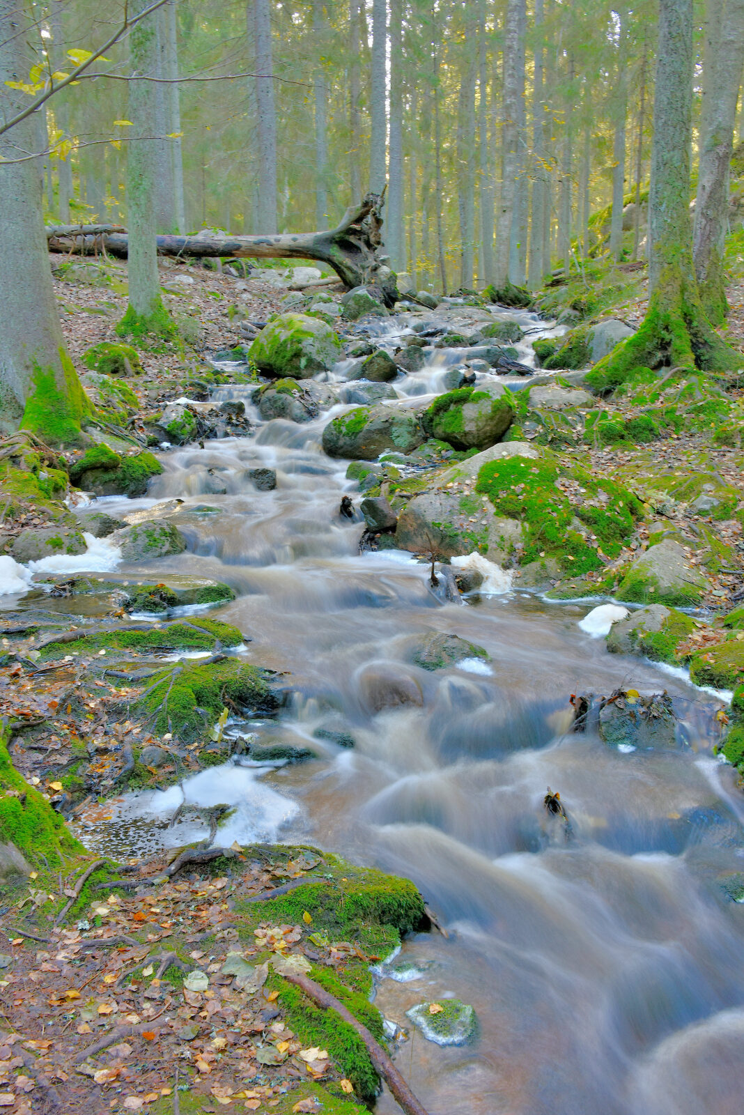 Valokuvaaja: Reijo Juurinen