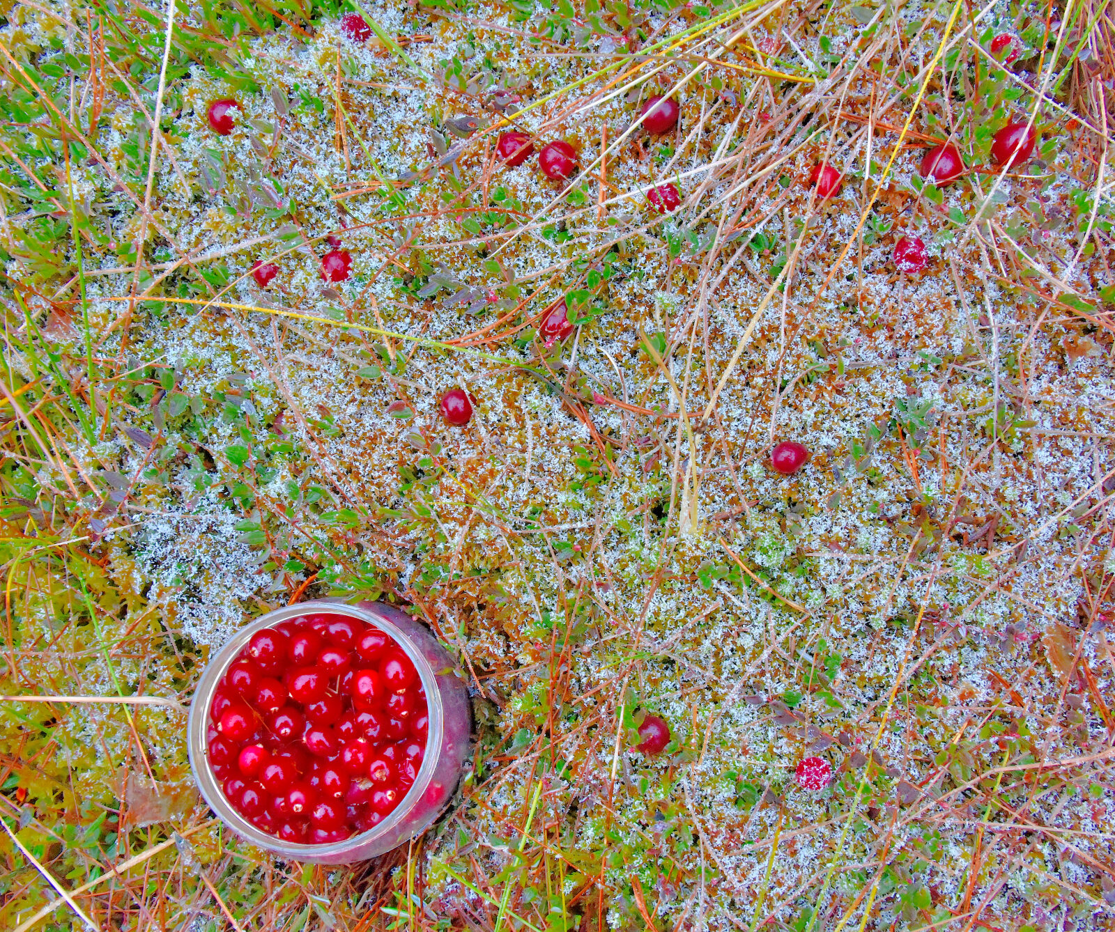 Valokuvaaja: Reijo Juurinen