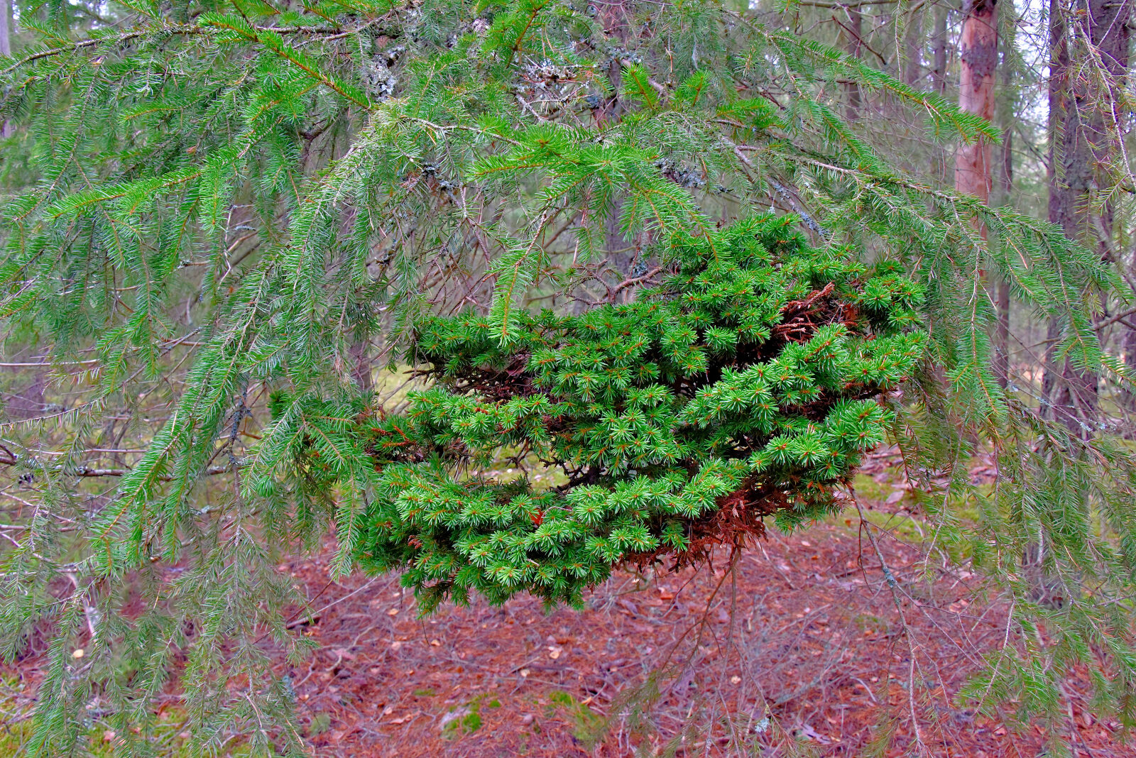 Valokuvaaja: Reijo Juurinen