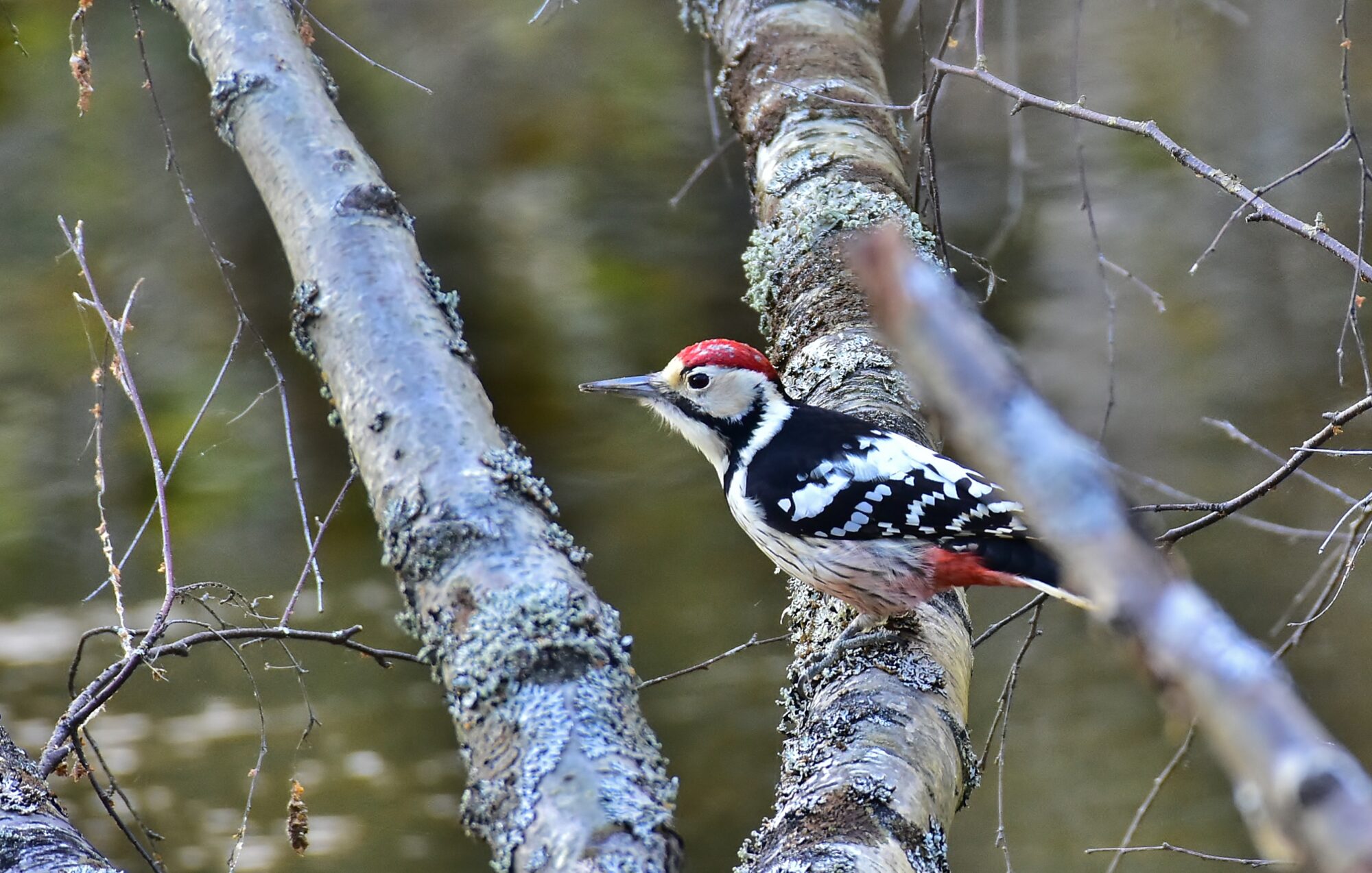 Valokuvaaja: Markku Pelkonen