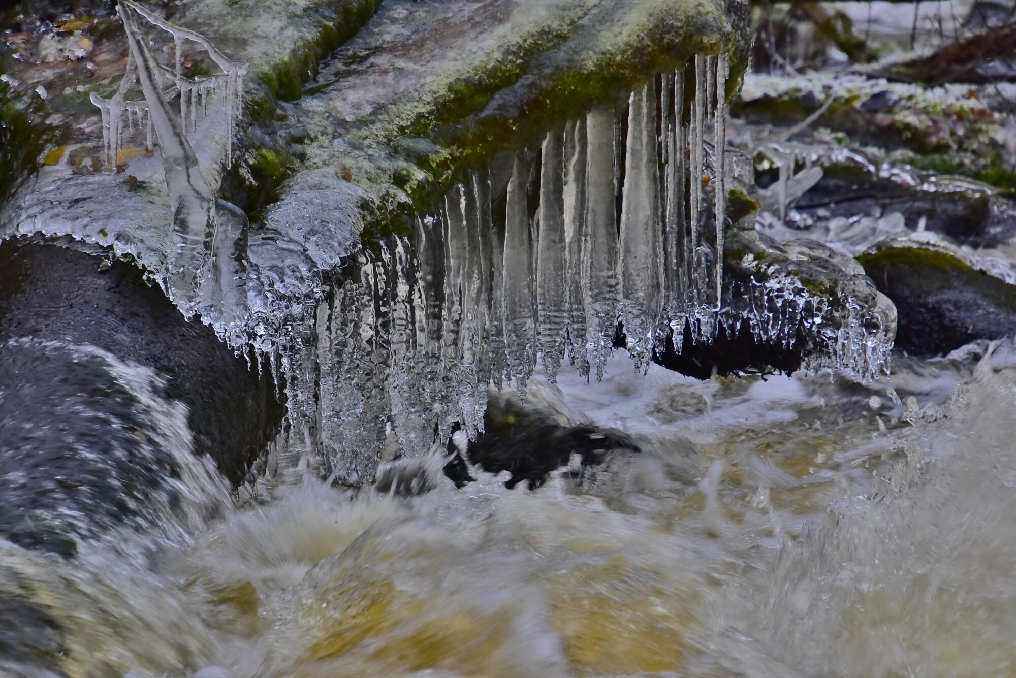 Valokuvaaja: Markku Pelkonen