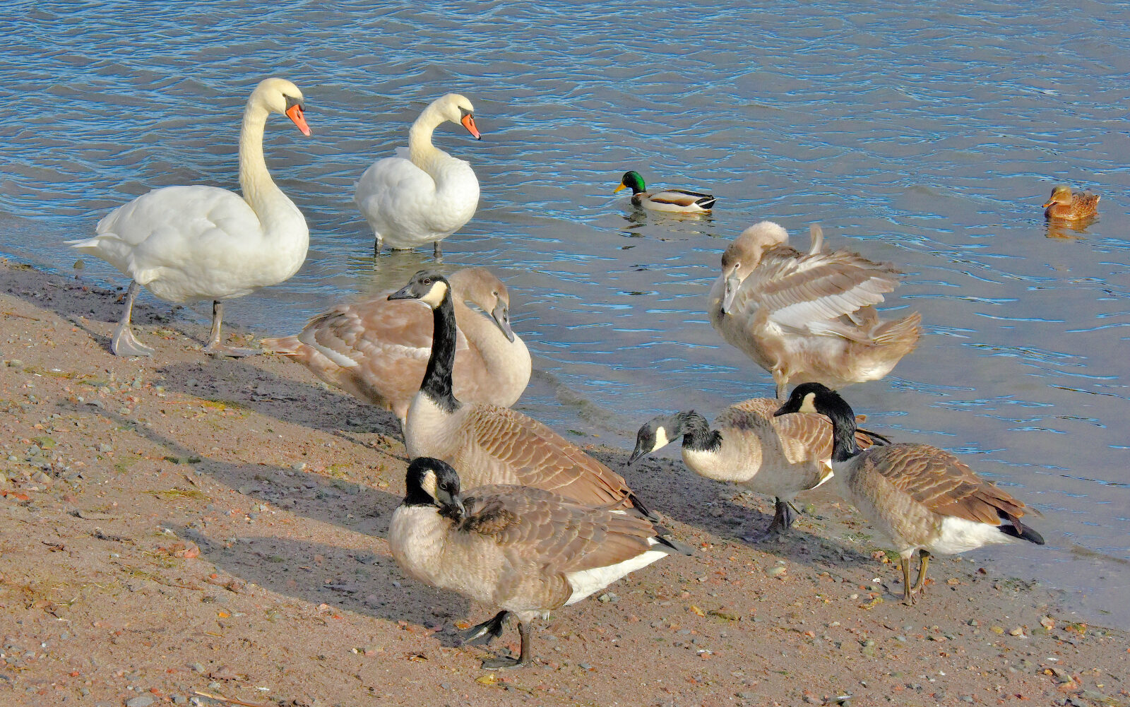 Valokuvaaja: Reijo Juurinen