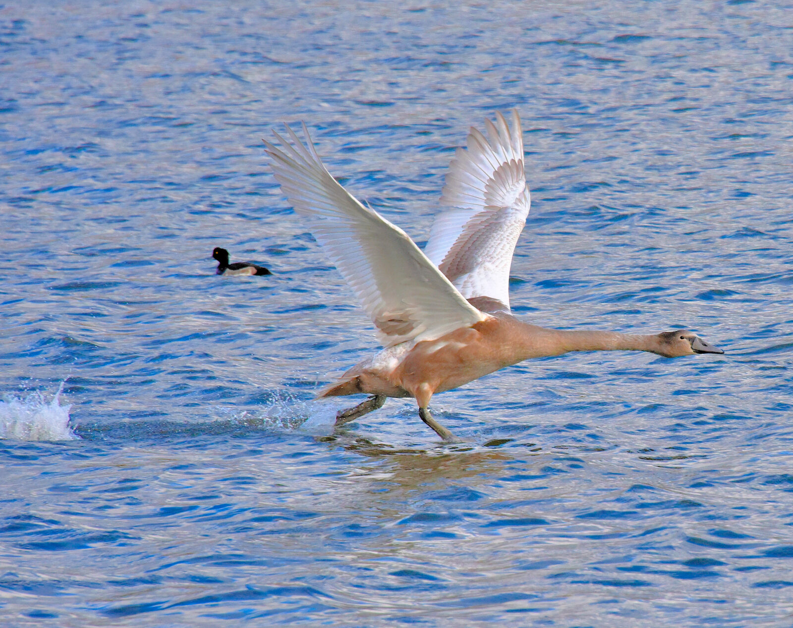 Valokuvaaja: Reijo Juurinen