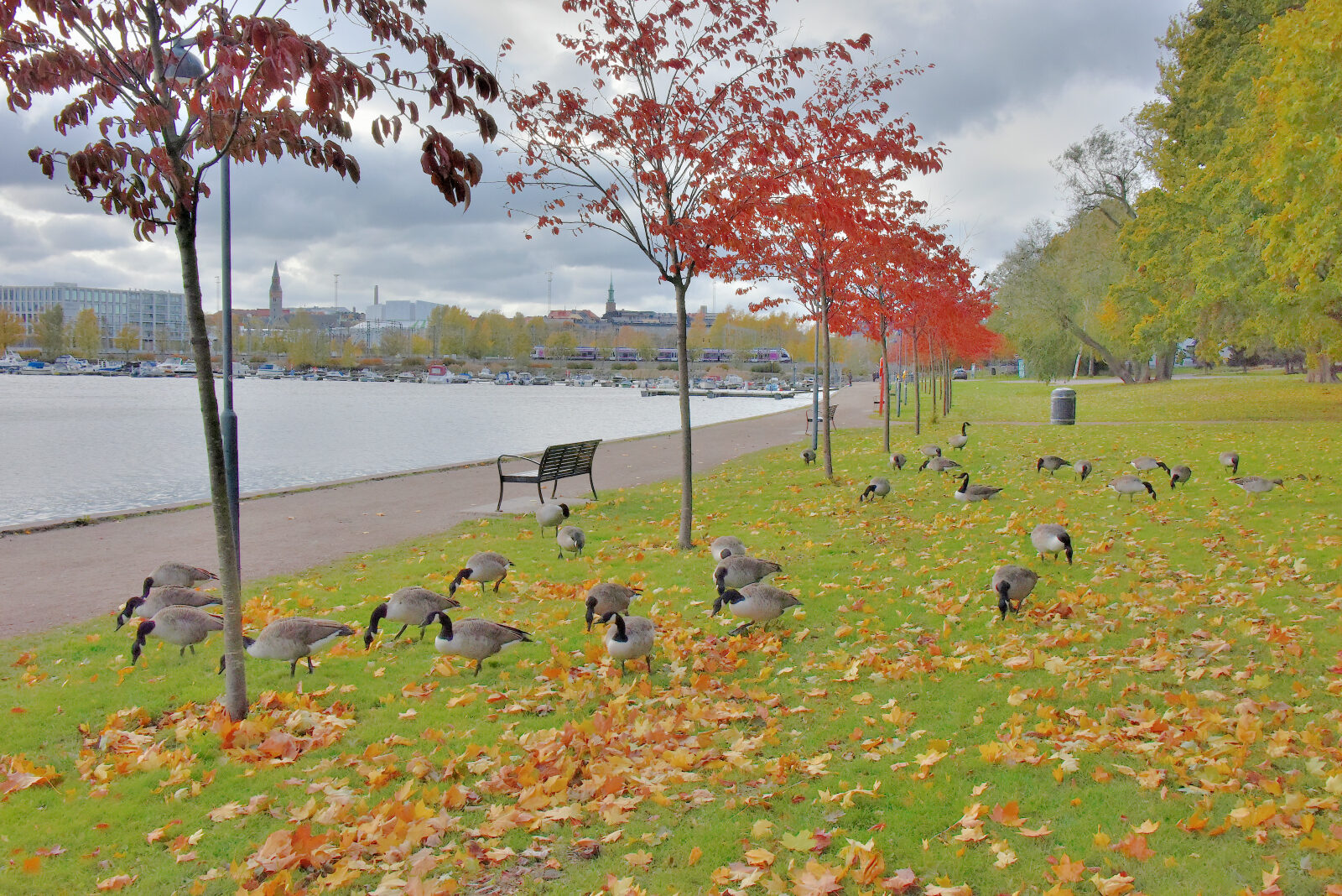 Valokuvaaja: Reijo Juurinen