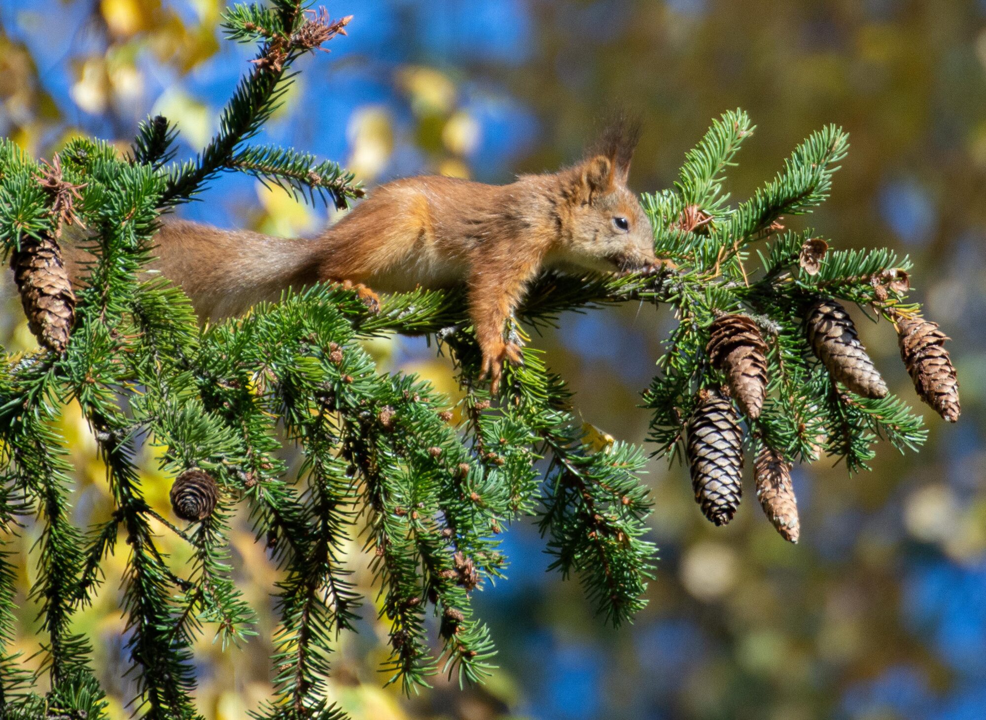 Valokuvaaja: Tuula Komsi