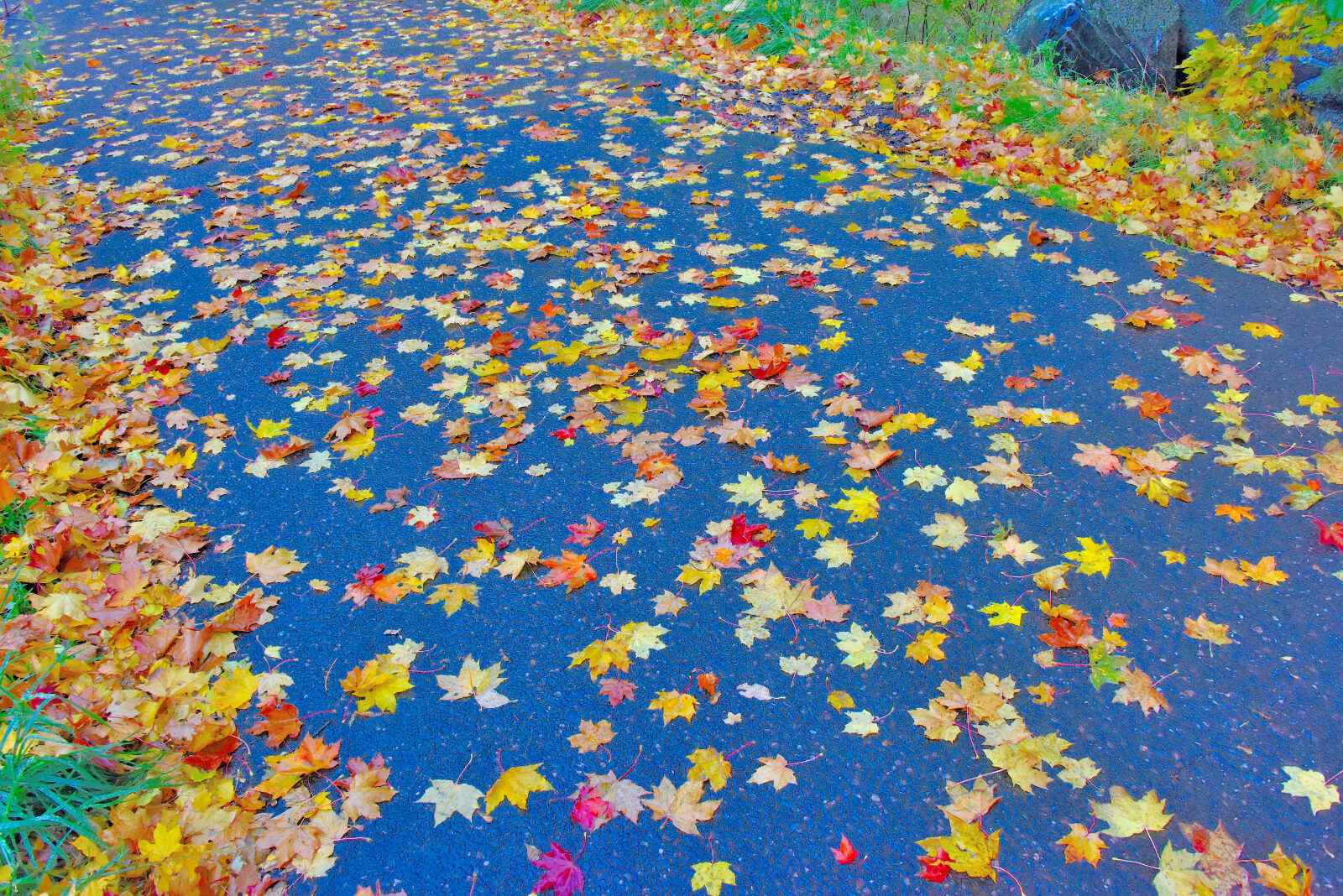 Valokuvaaja: Reijo Juurinen