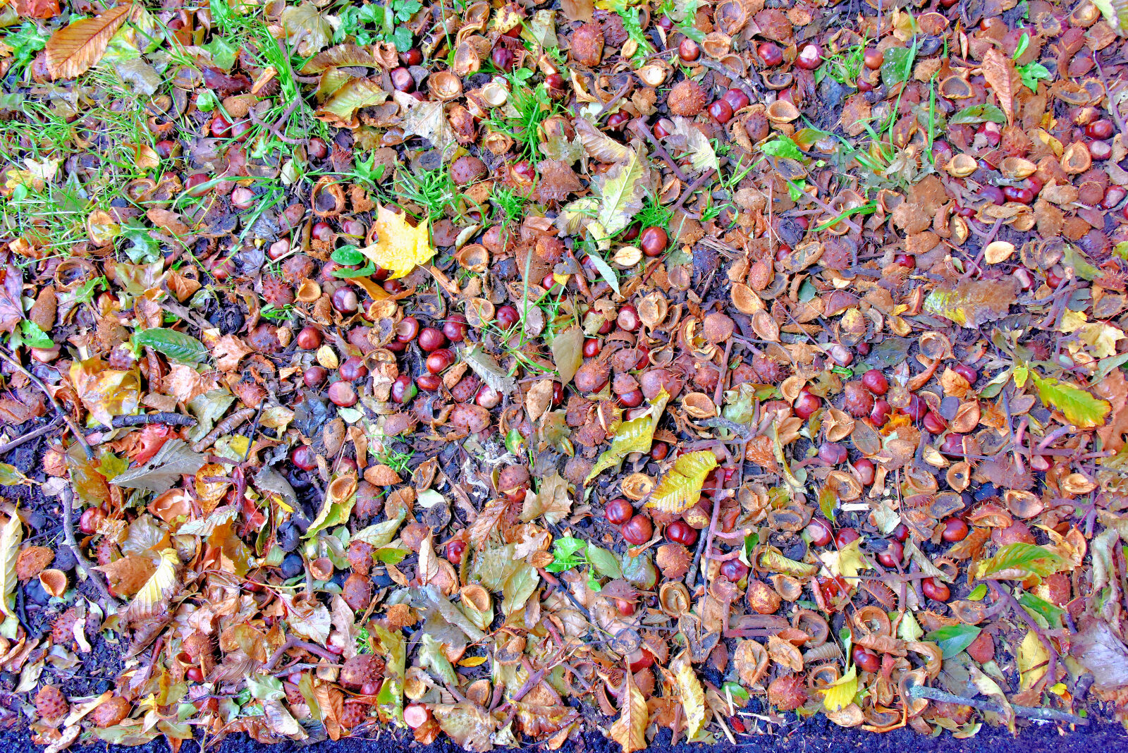 Valokuvaaja: Reijo Juurinen