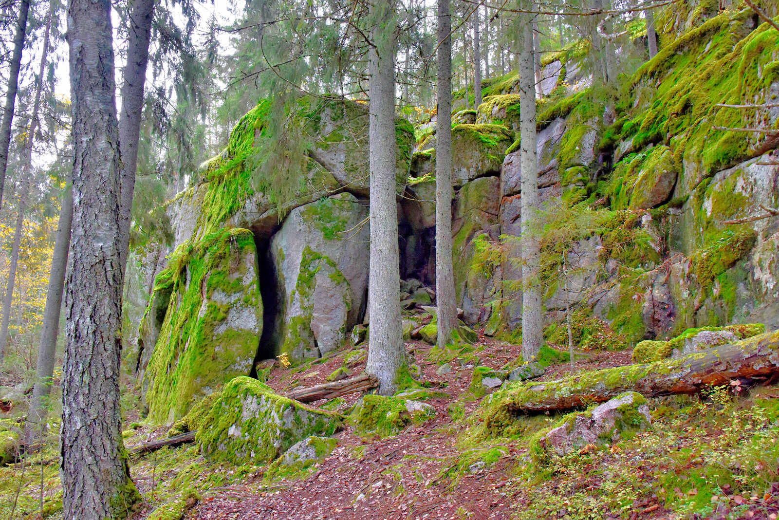 Valokuvaaja: Reijo Juurinen