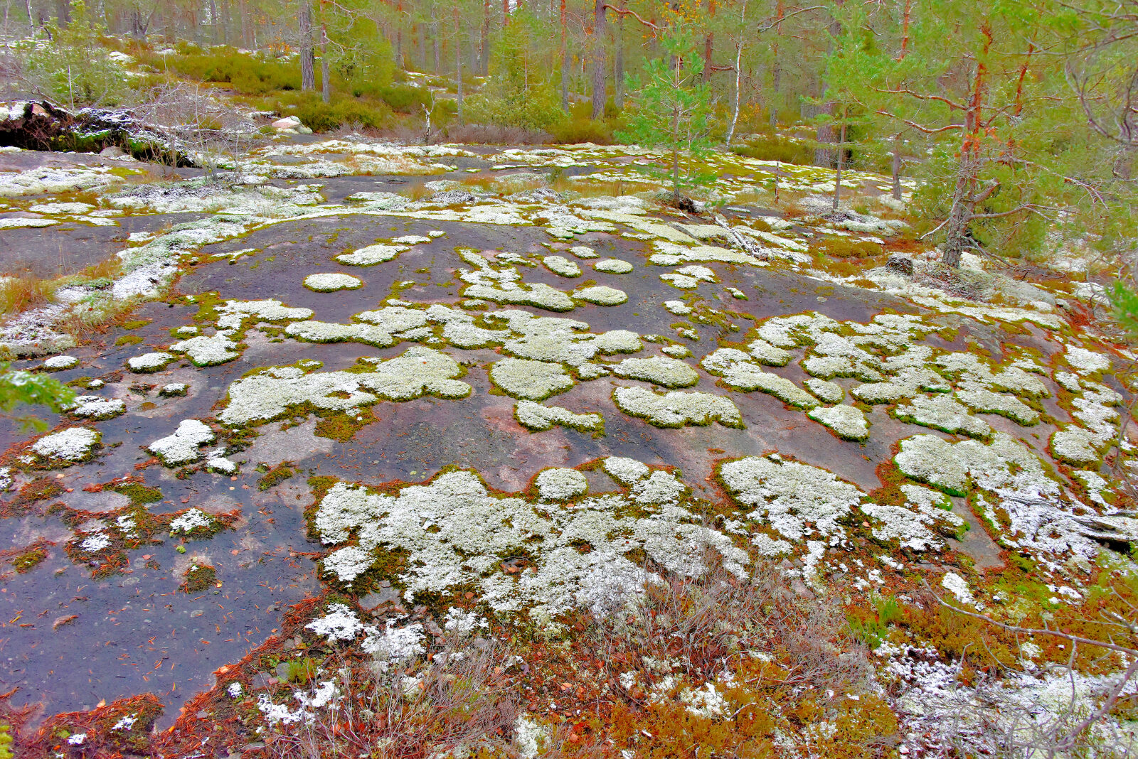 Valokuvaaja: Reijo Juurinen