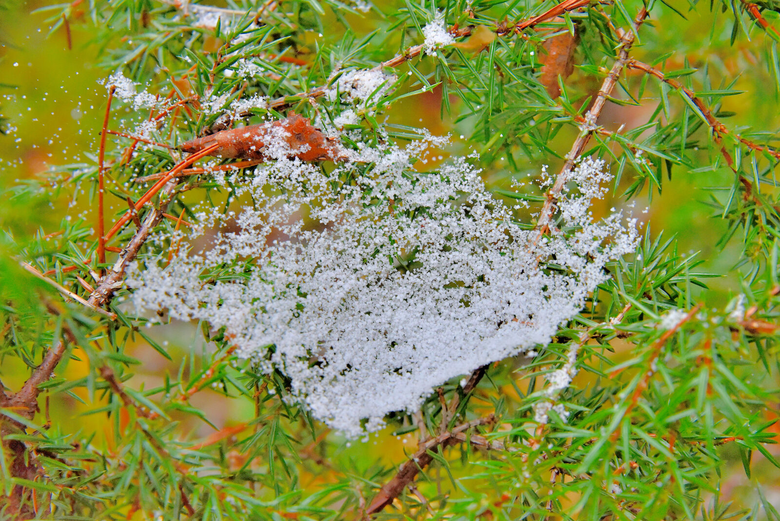 Valokuvaaja: Reijo Juurinen Valokuvaaja: Reijo Juurinen
