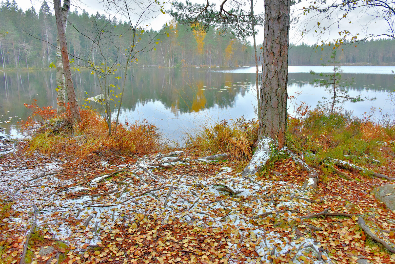 Valokuvaaja: Reijo Juurinen