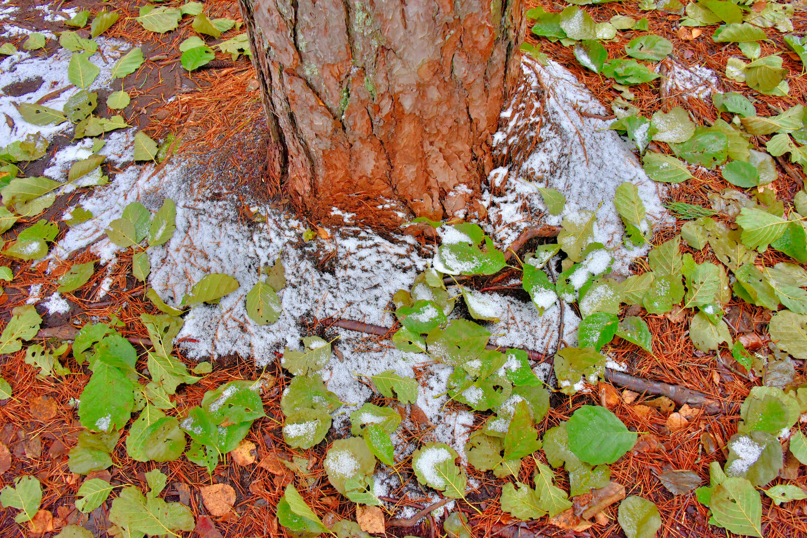 Valokuvaaja: Reijo Juurinen